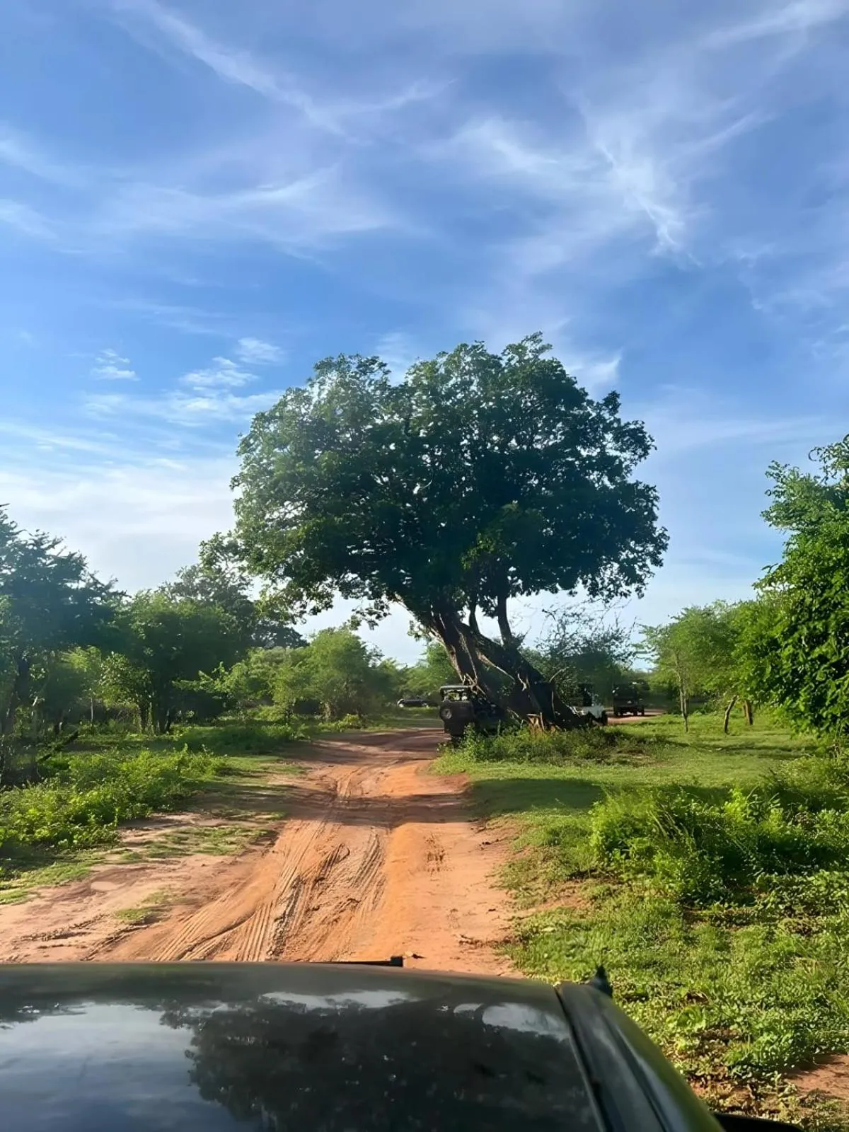 Natural landscape in Avian Garden Udawalawe