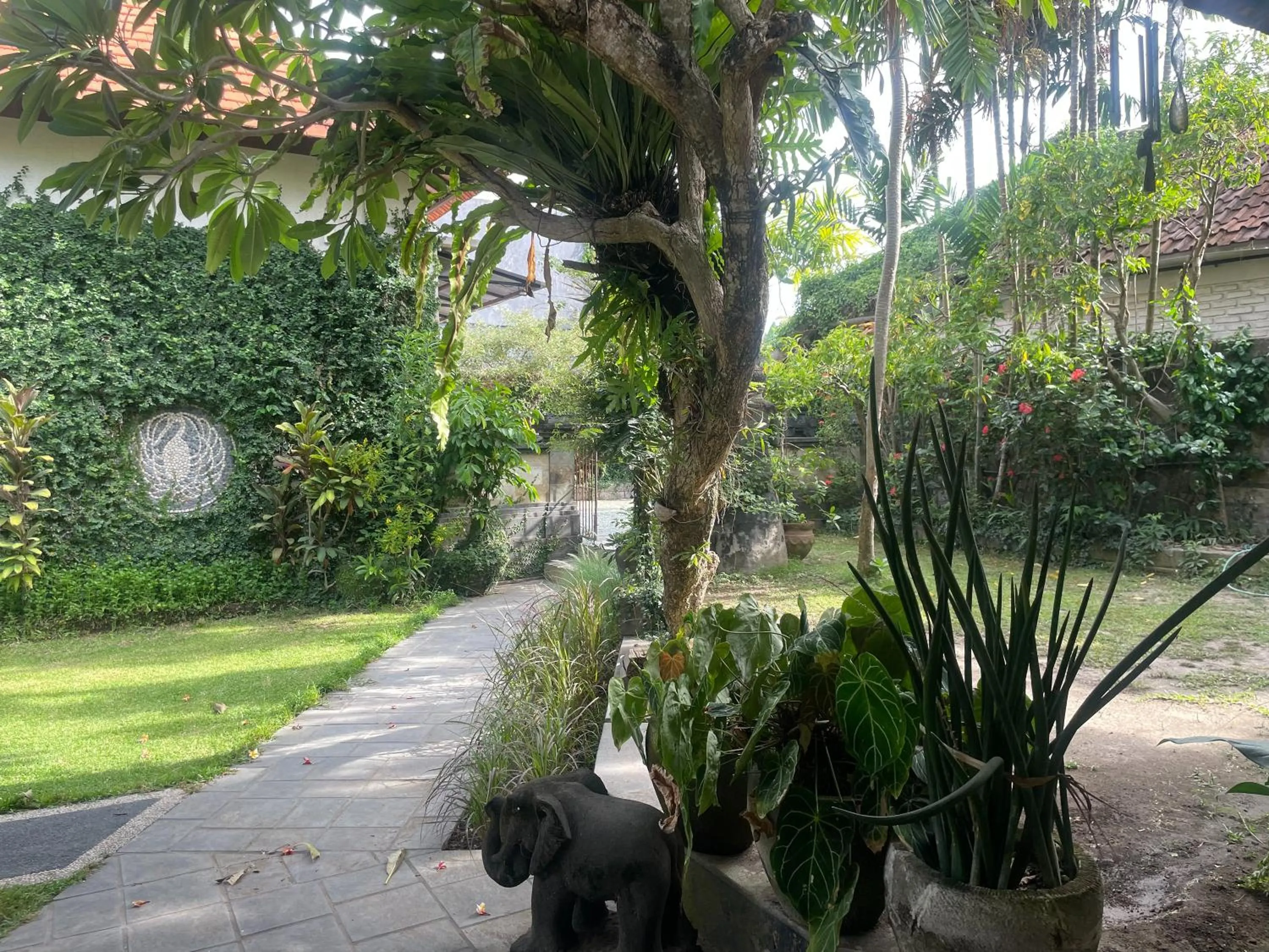 Garden in Graha Madesimon