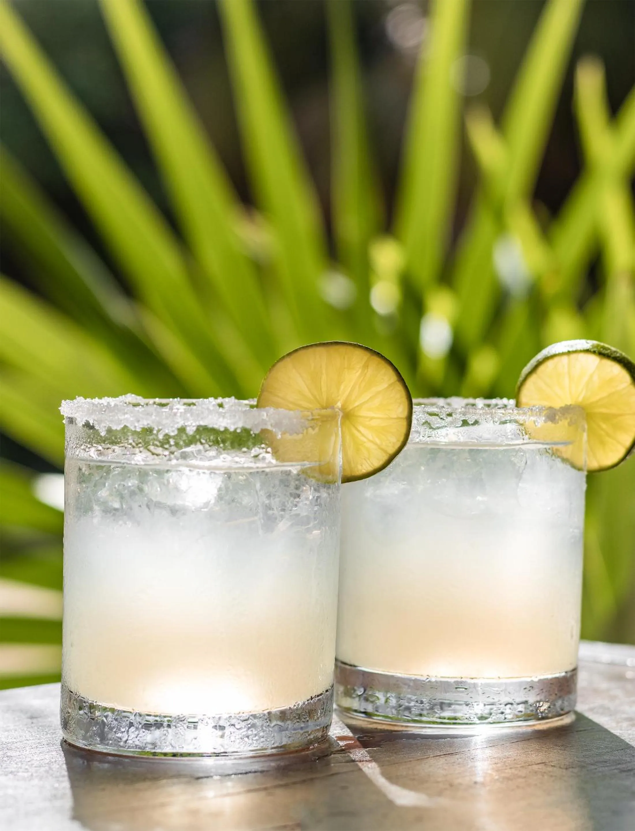 Drinks in Grand Slam Fishing Lodge Tulum