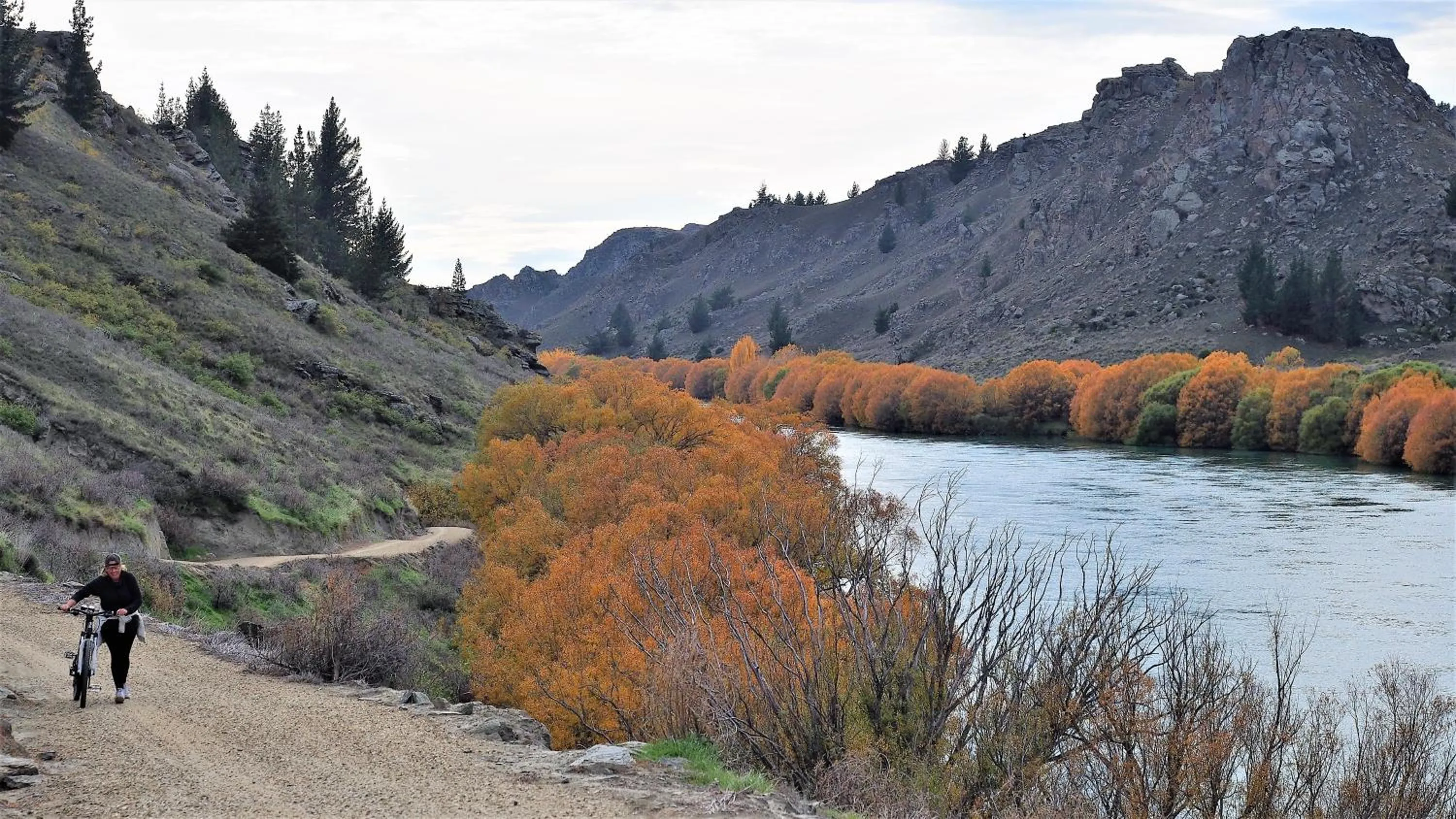 Natural landscape in Hartley Homestead Boutique Bed & Breakfast