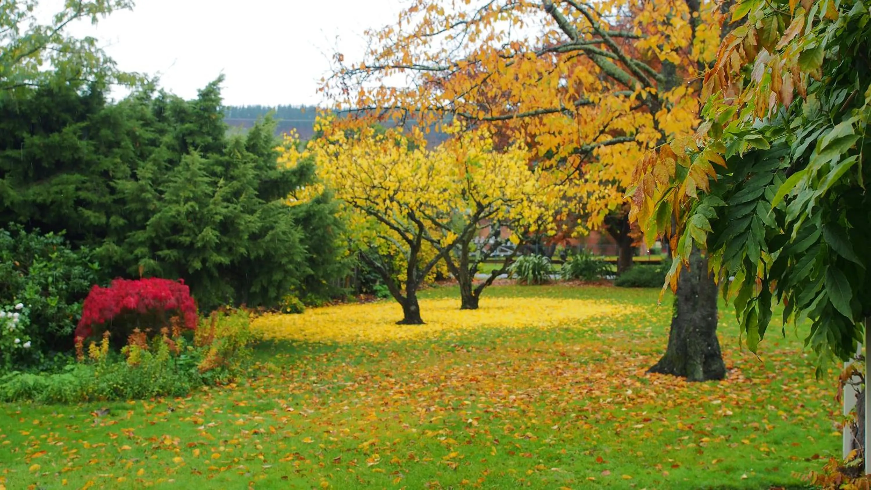 Day in Hartley Homestead Boutique Bed & Breakfast