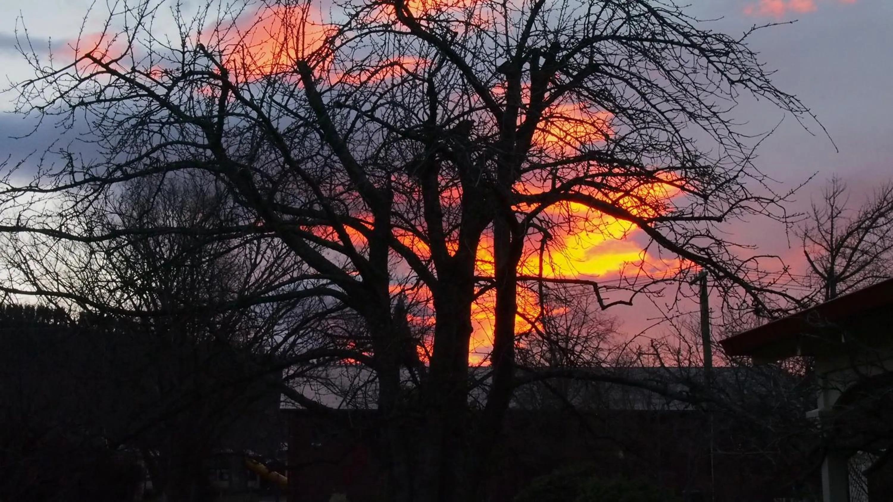 Winter in Hartley Homestead Boutique Bed & Breakfast