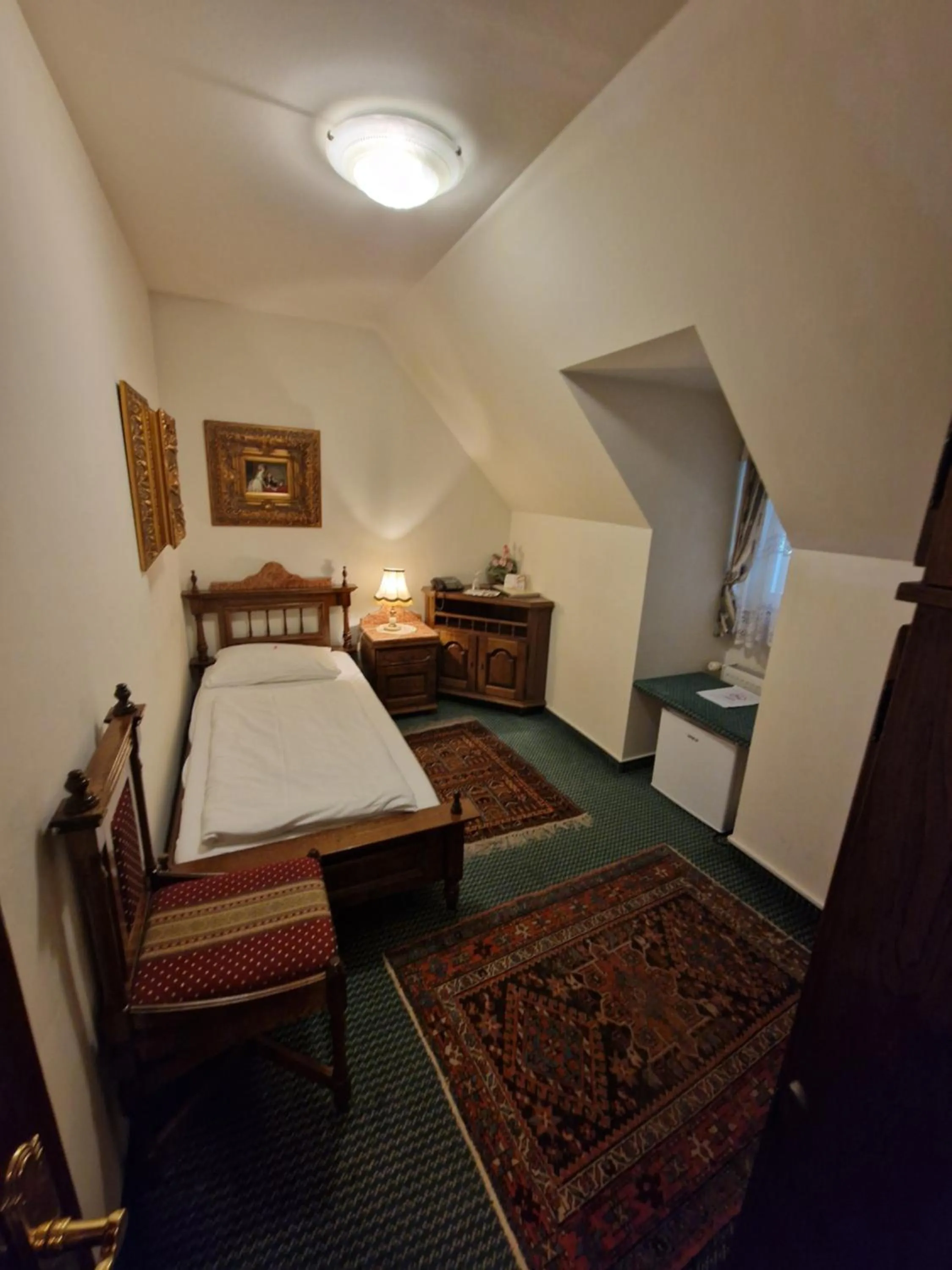 Single Room in Hotel Razgorsek
