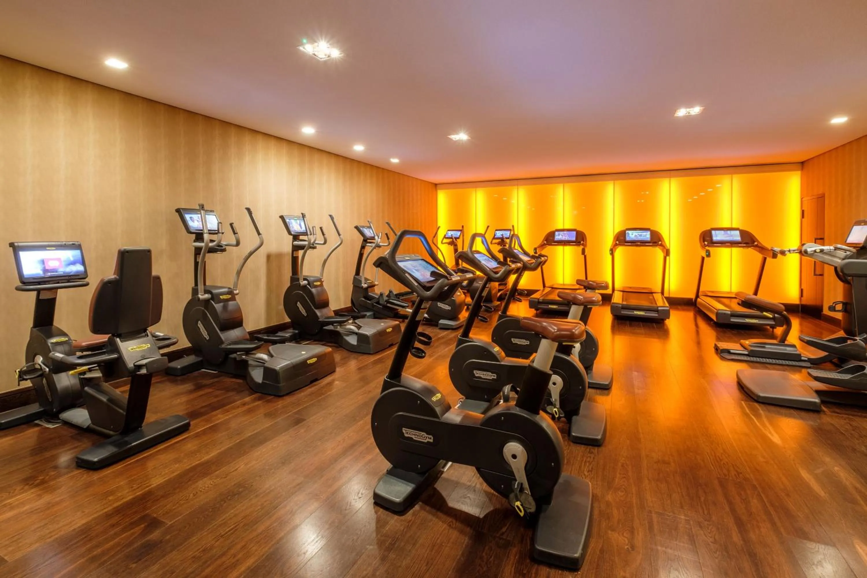 Fitness centre/facilities in The Europe Hotel & Resort
