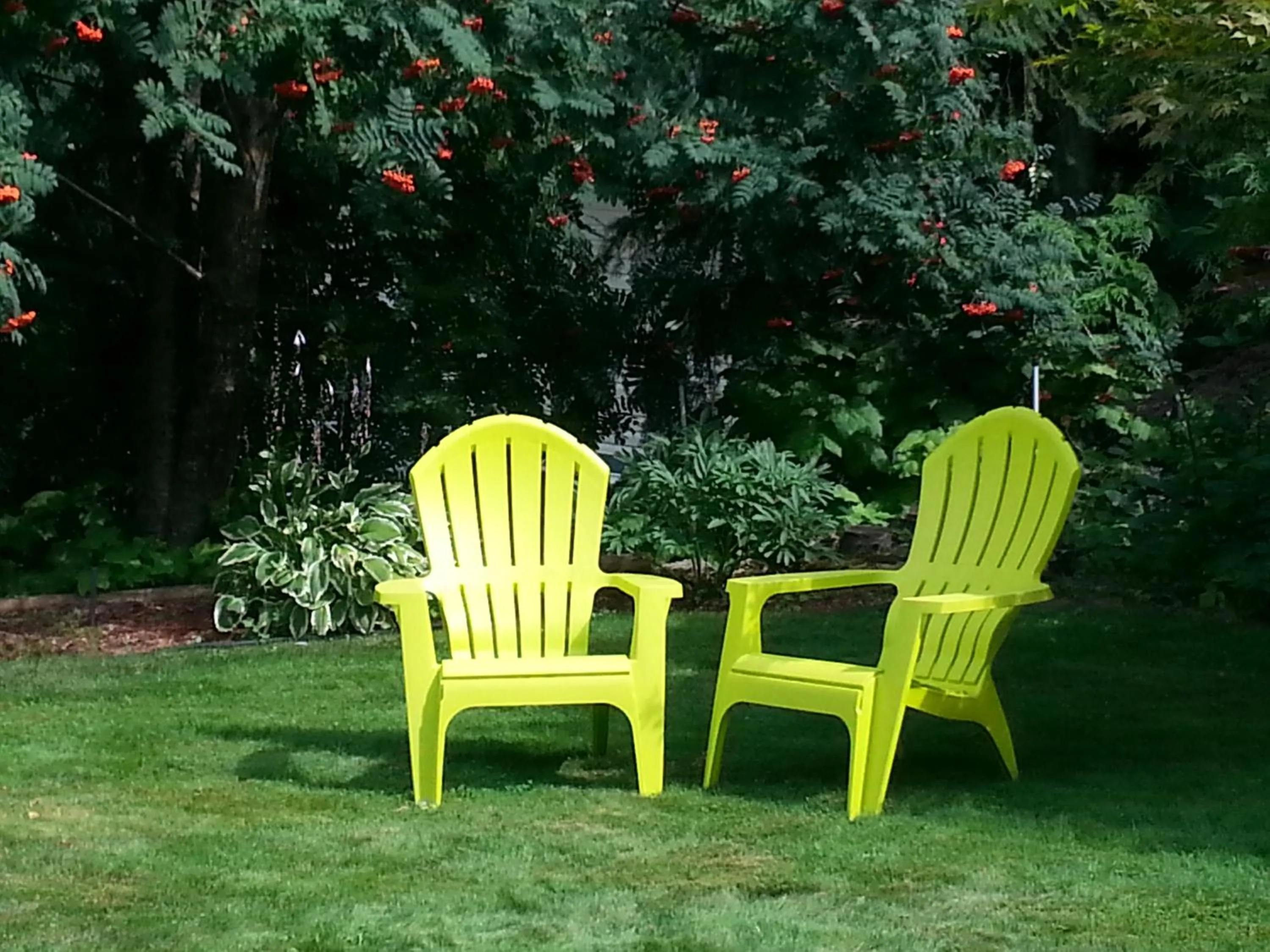 Garden in Creekside B&B