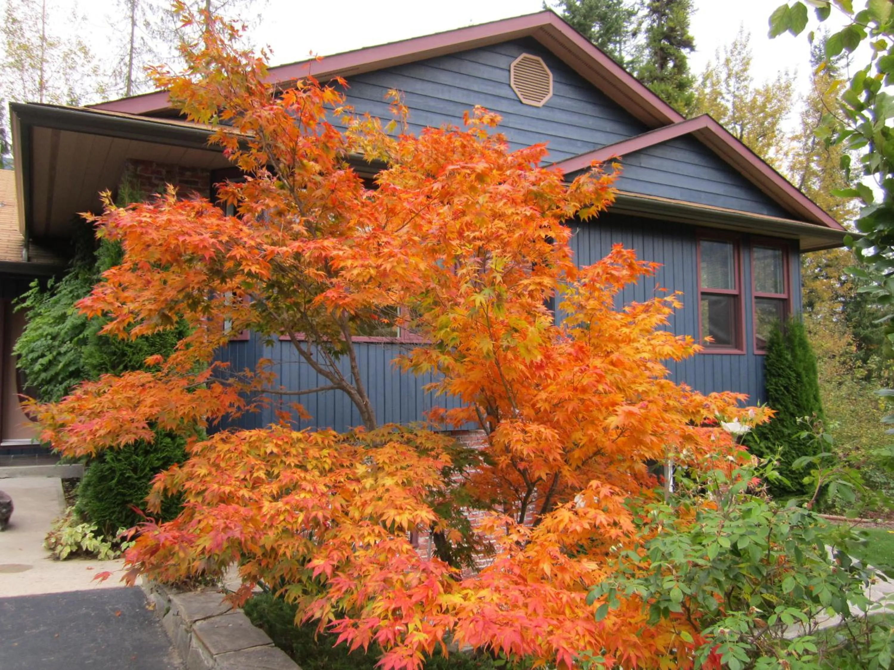 Autumn in Creekside B&B