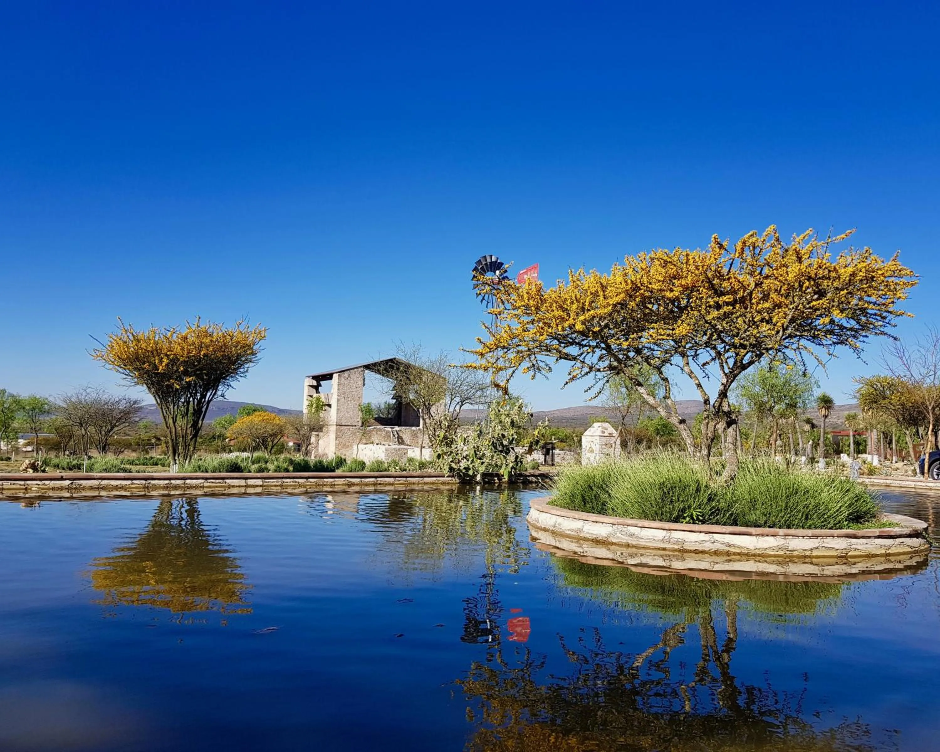 Garden view in Mineral del Cielo