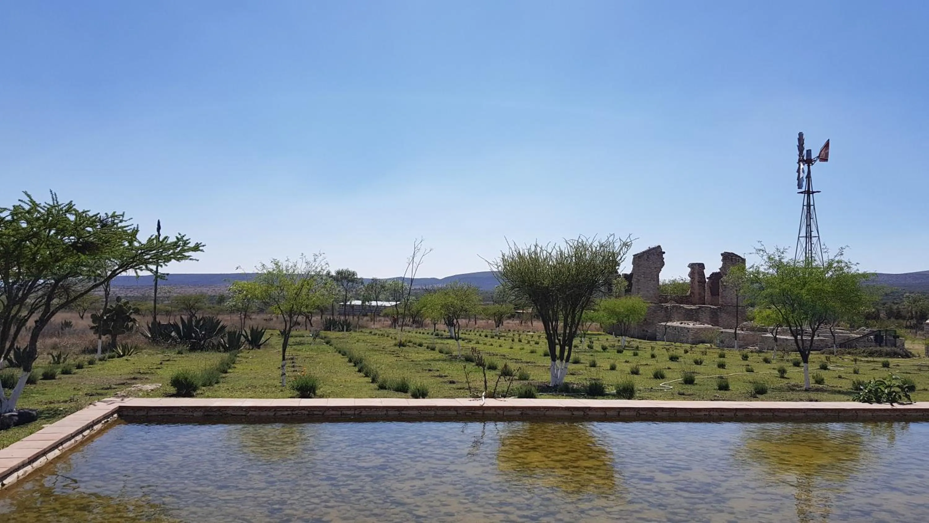 Garden in Mineral del Cielo