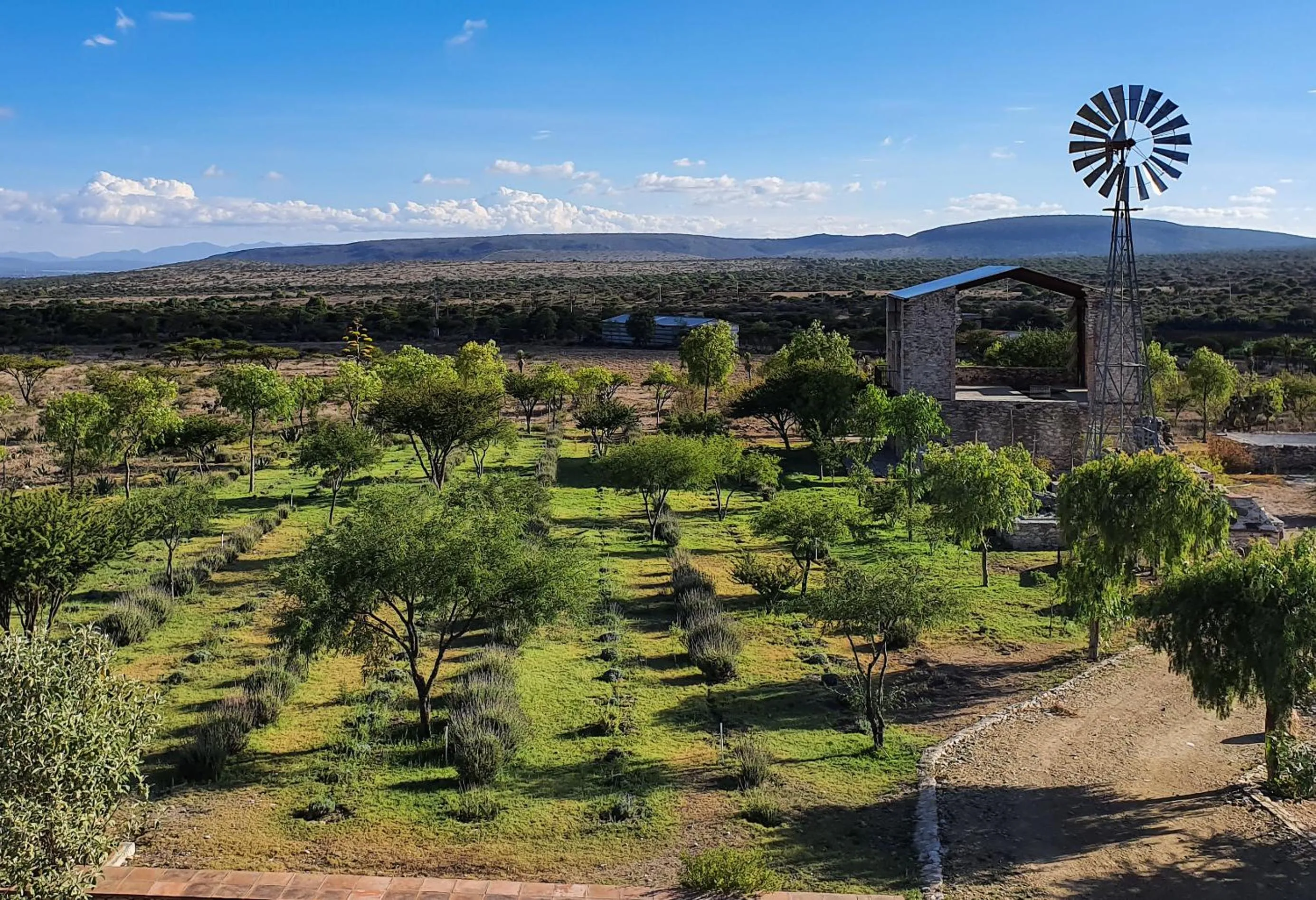 Natural landscape in Mineral del Cielo