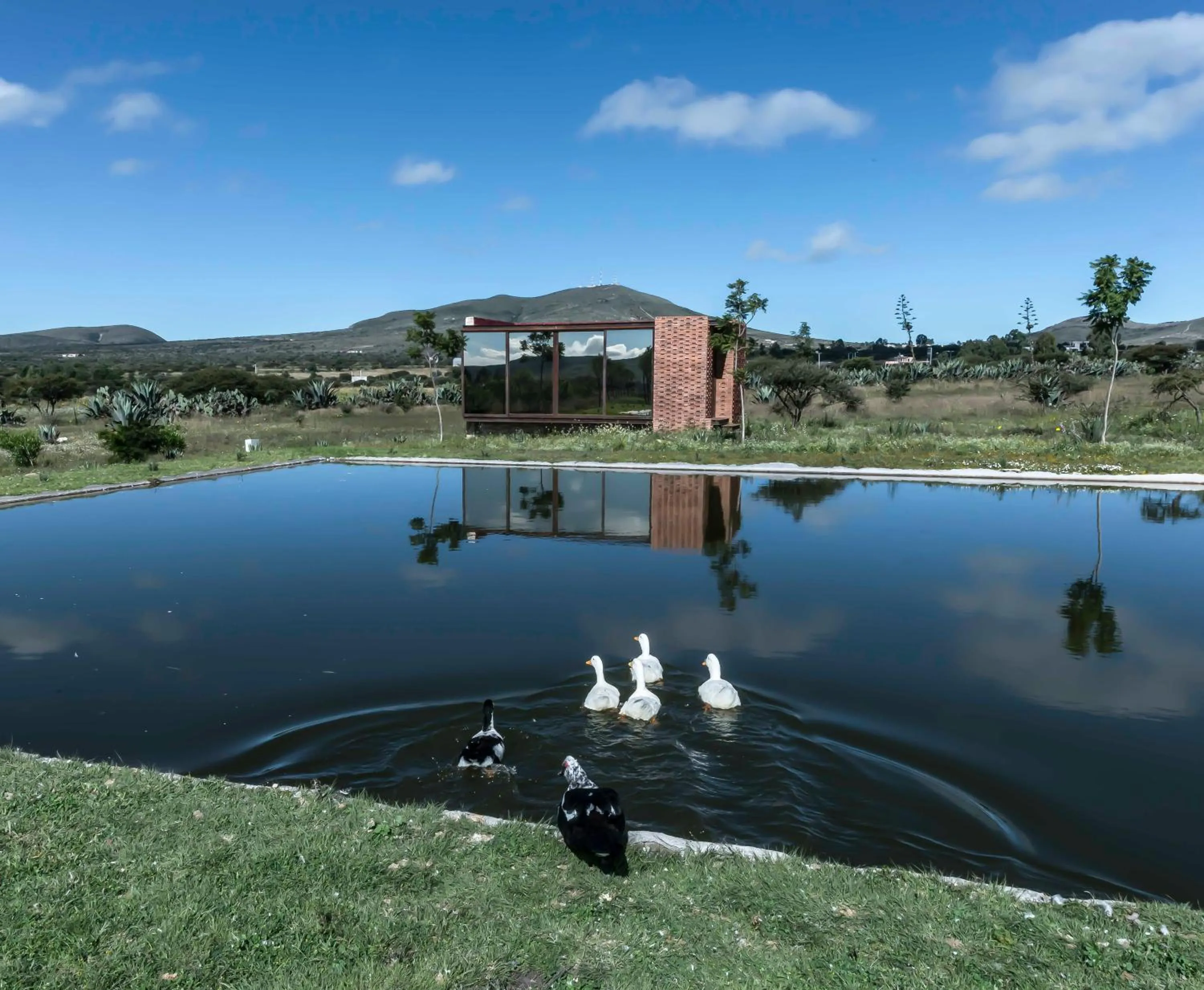 Balcony/Terrace in Mineral del Cielo