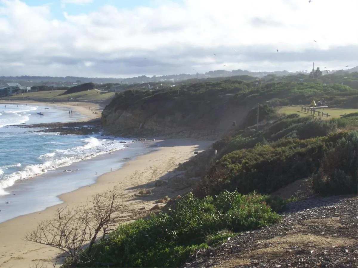Natural landscape in Golden Palms Motel