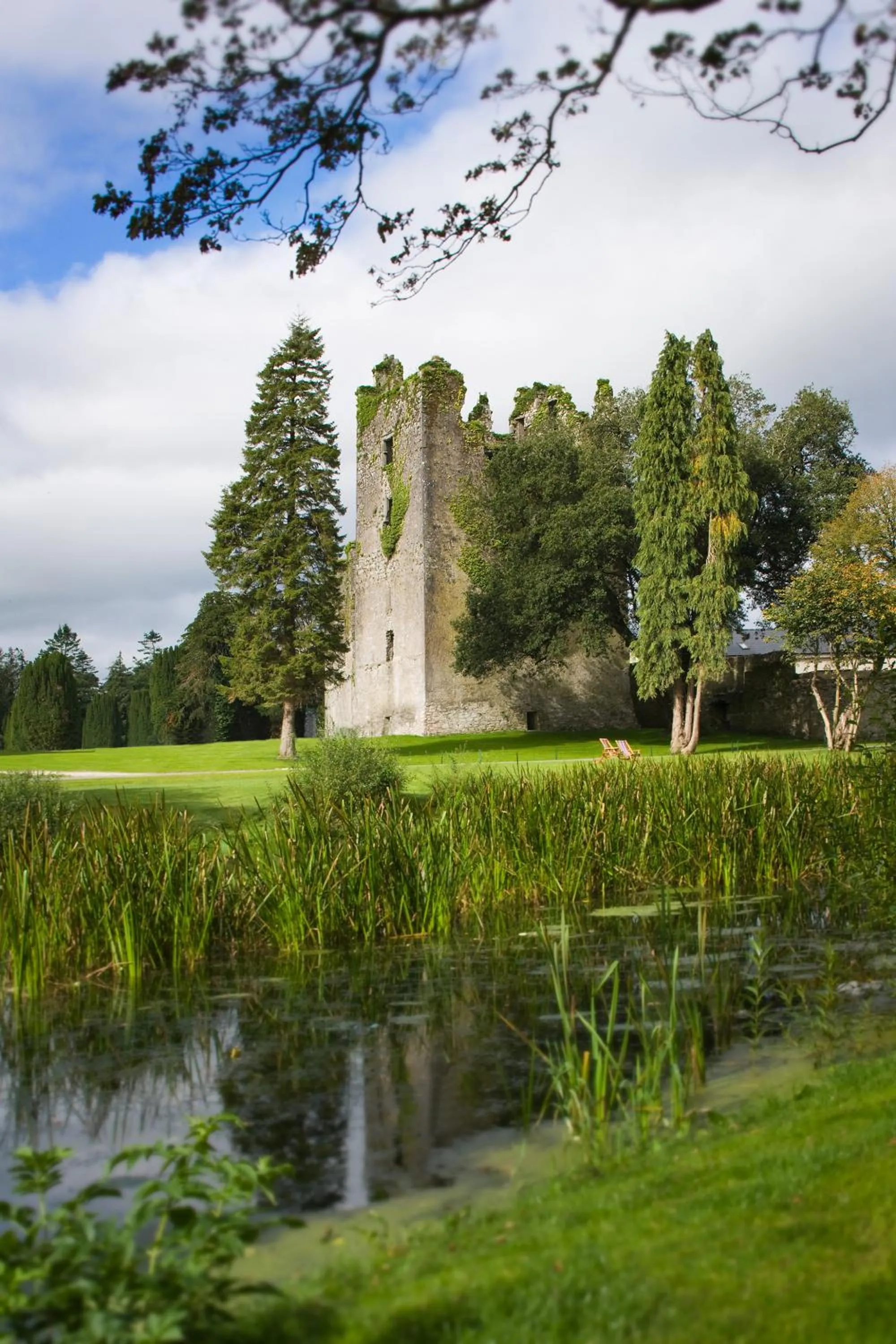 Garden in Castlemartyr Resort Hotel