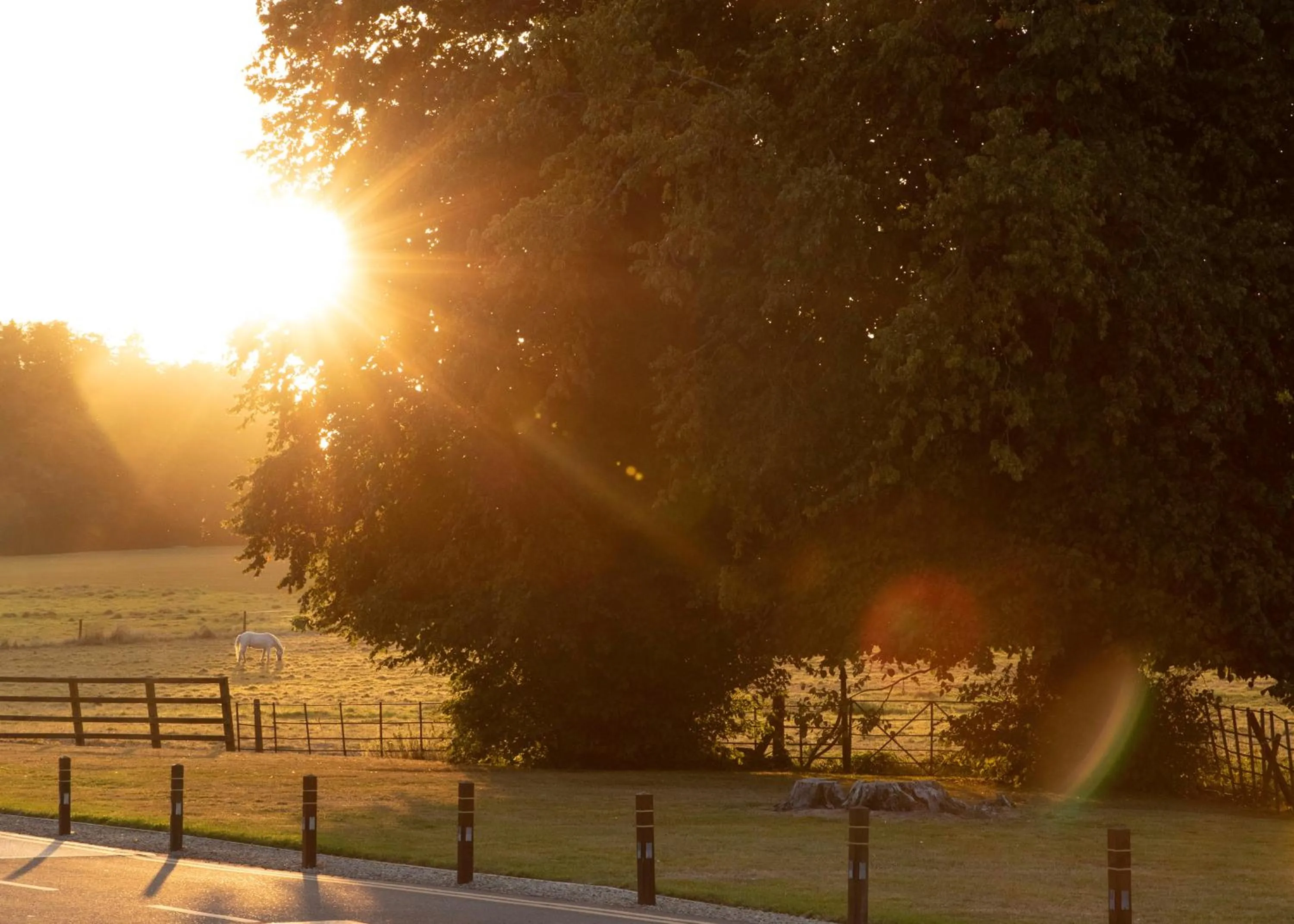 Garden in Castlemartyr Resort Hotel
