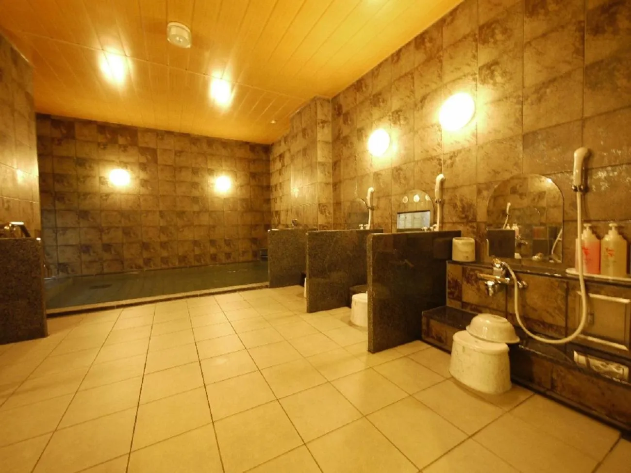 Public Bath in Hotel Route-Inn Ina Inter