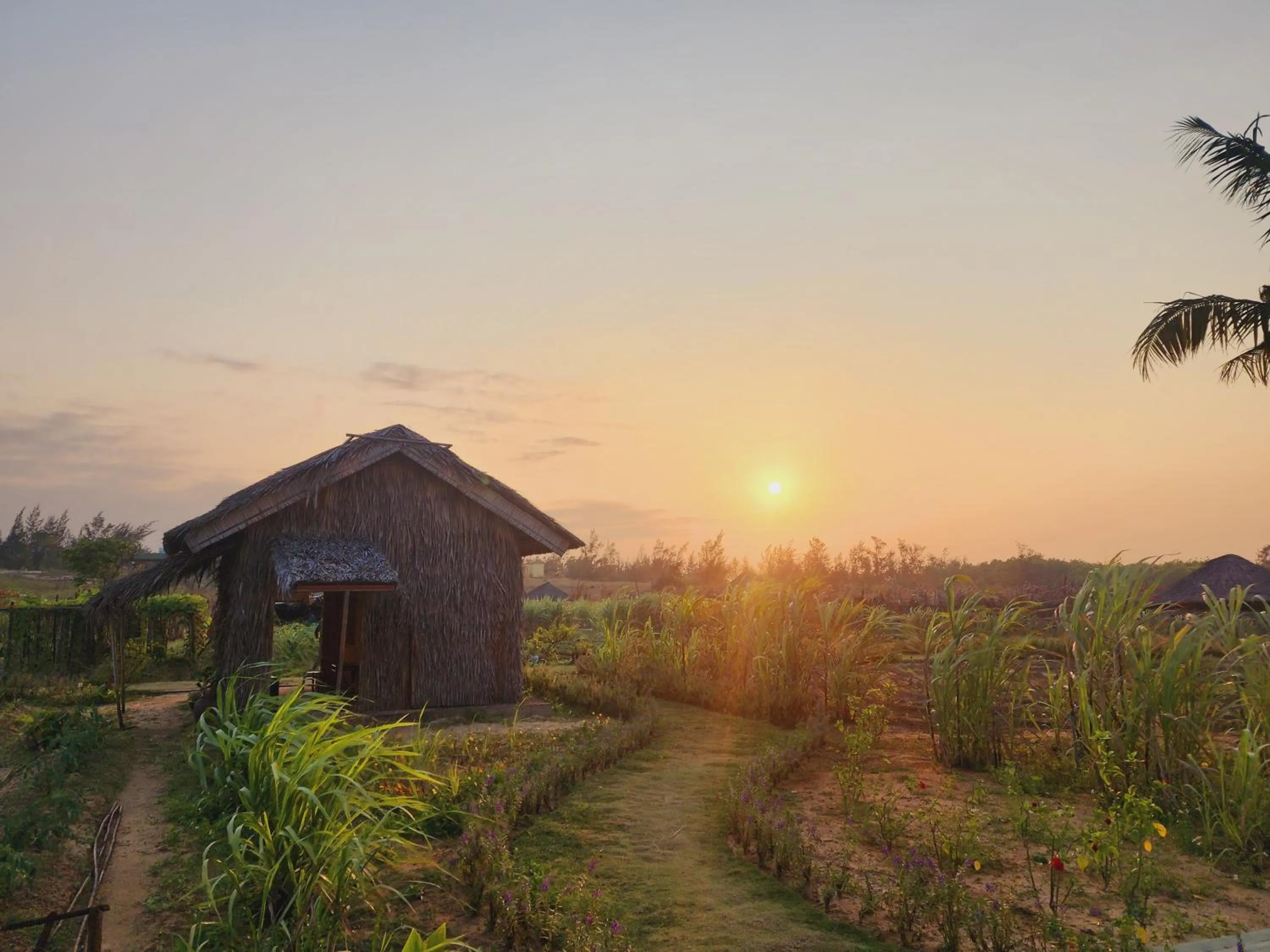 Garden in TUI BLUE Nam Hoi An Resort