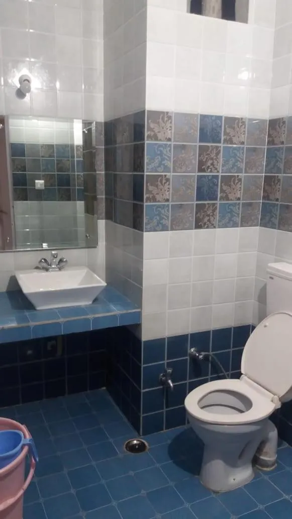 Shower in Hotel Ishan