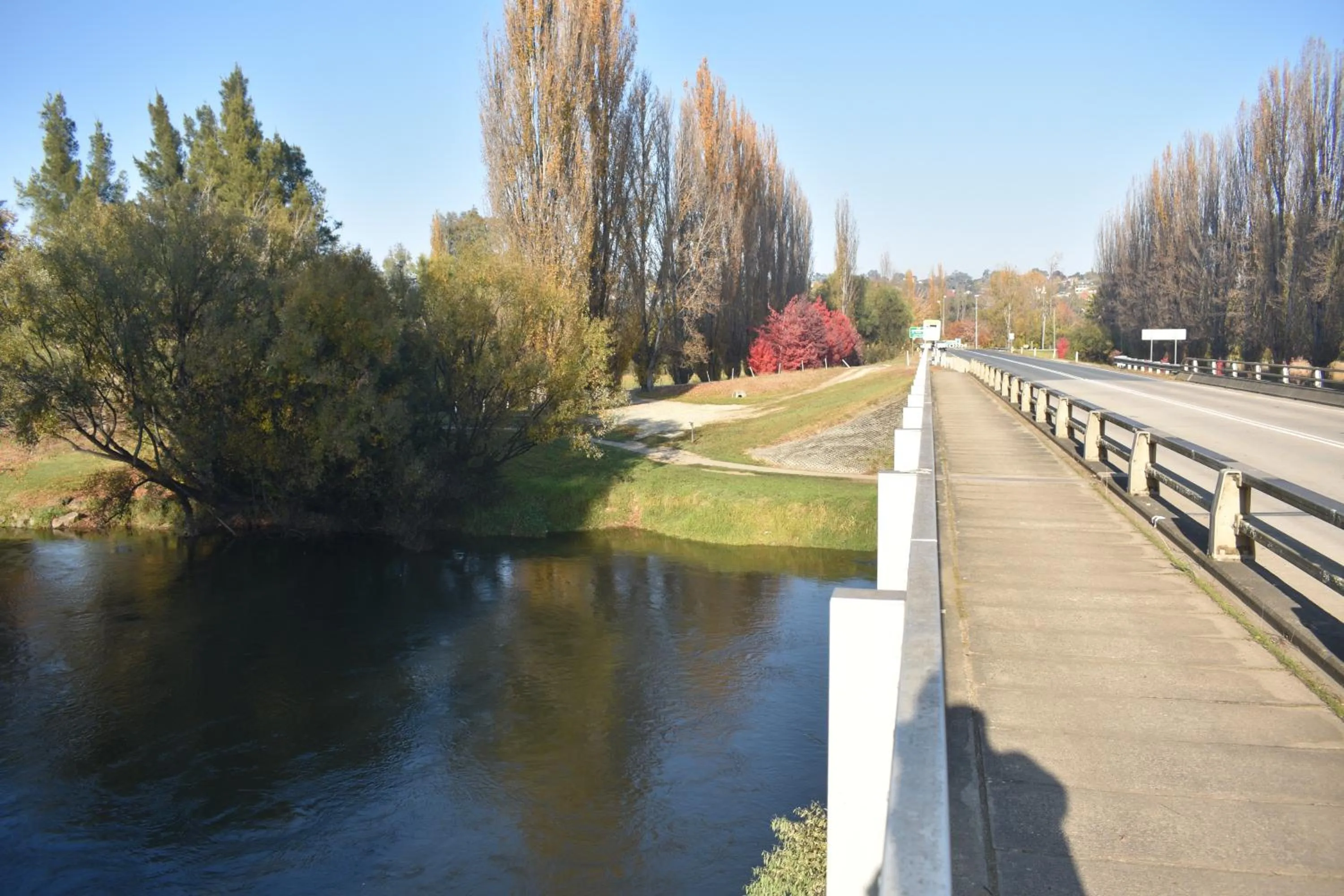 Natural landscape in Tumut Farrington motel