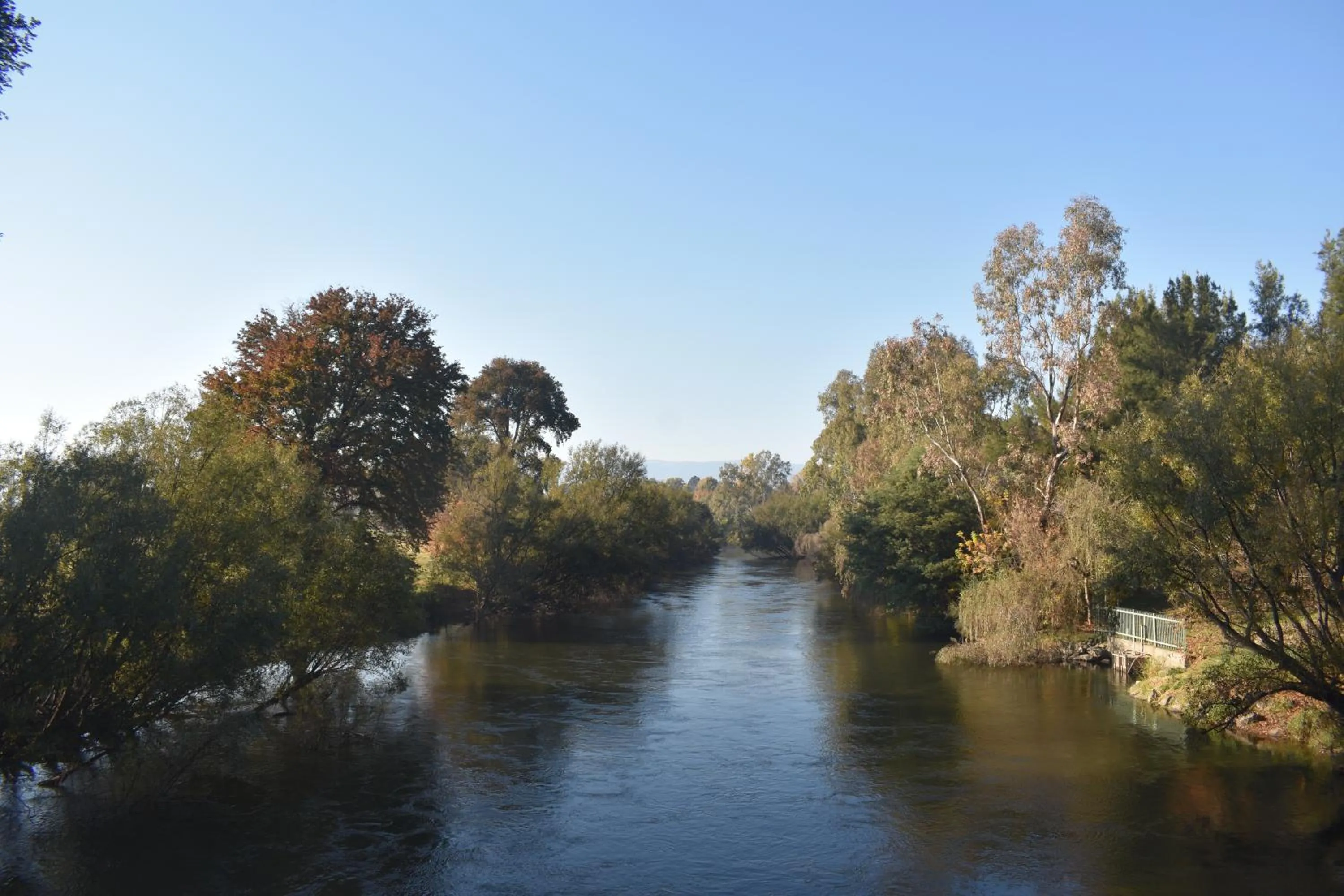 Natural landscape in Tumut Farrington motel