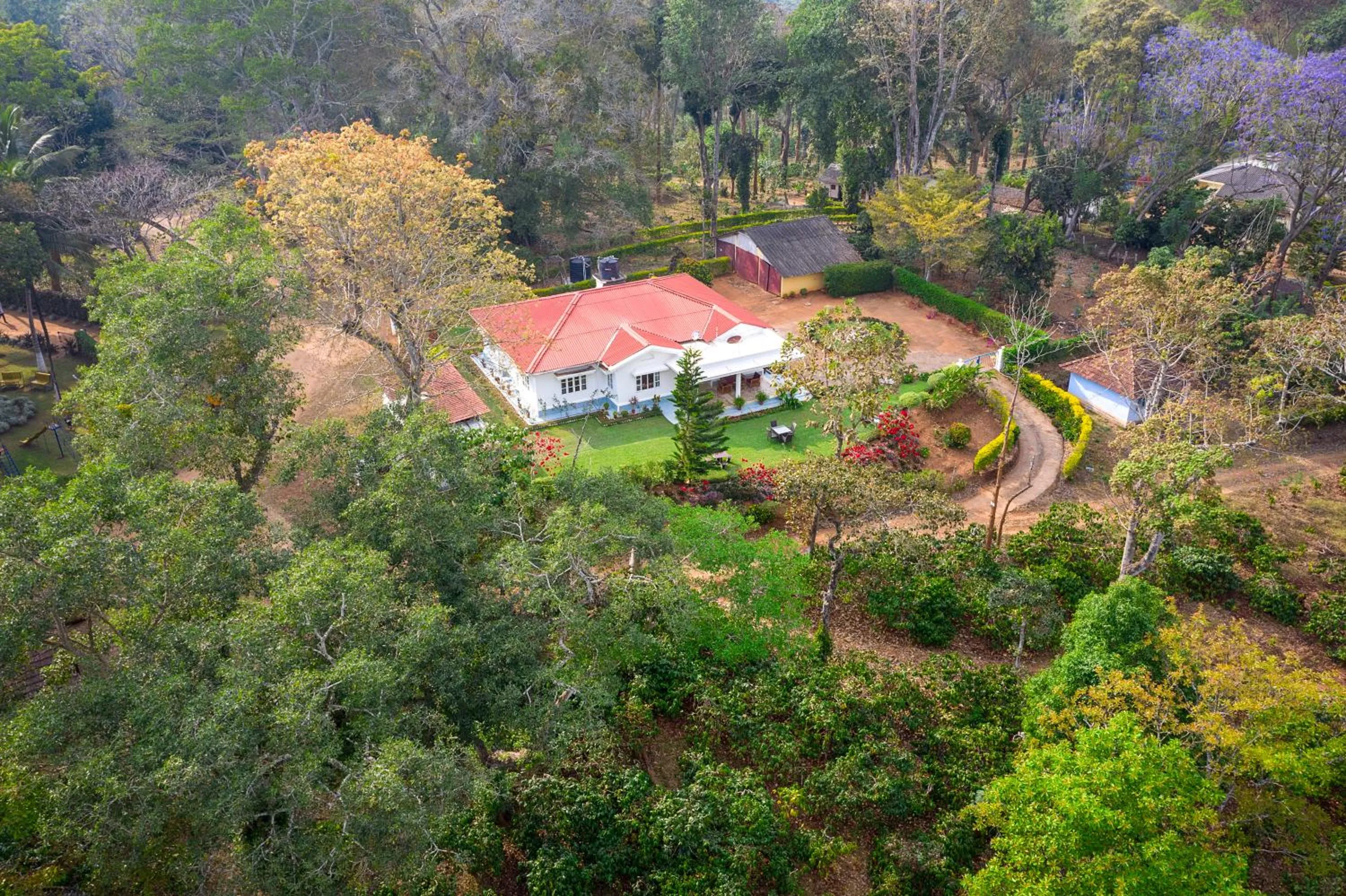 Natural landscape in Ama Plantation Trails Coorg