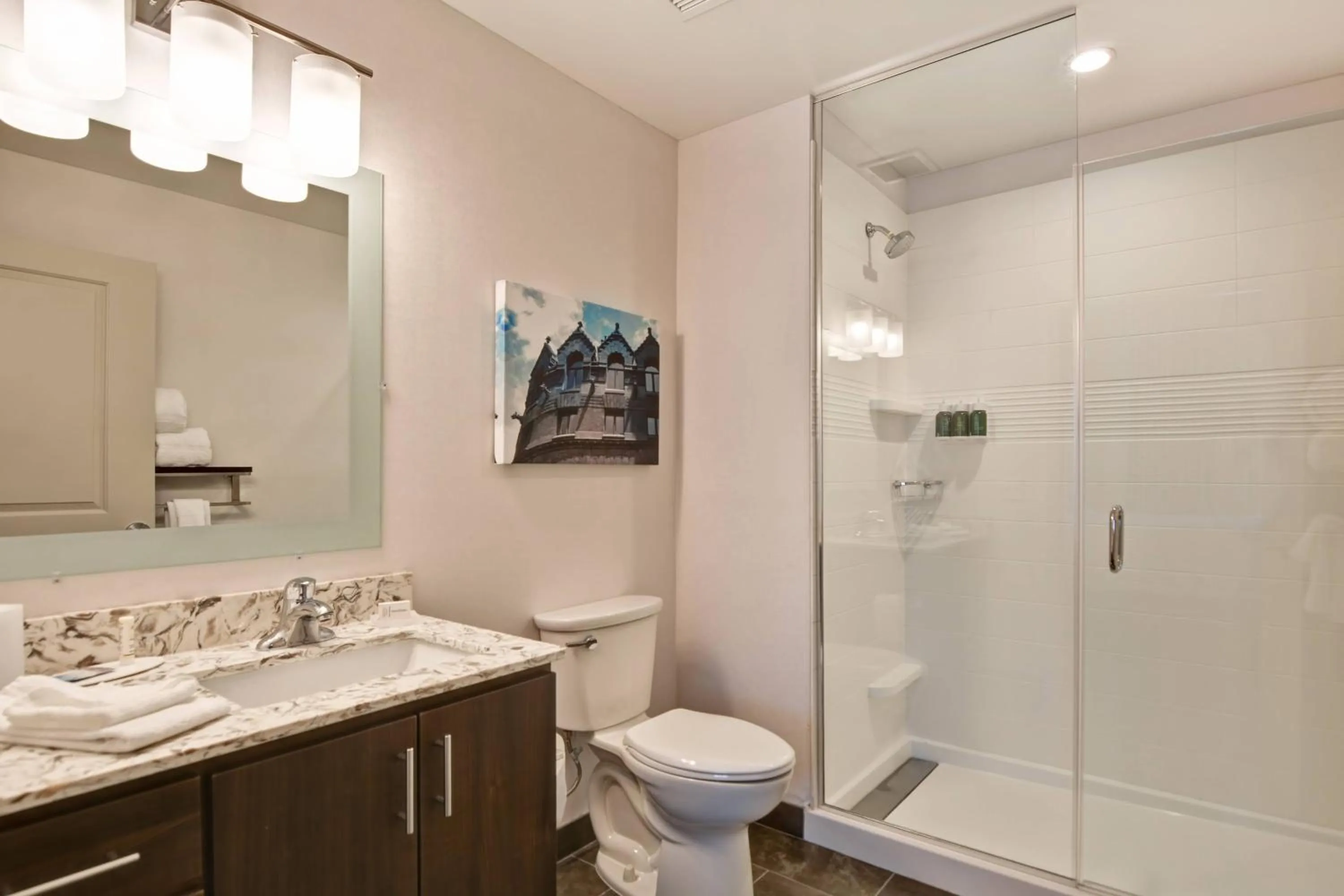 Bathroom in TownePlace Suites by Marriott Bridgewater Branchburg