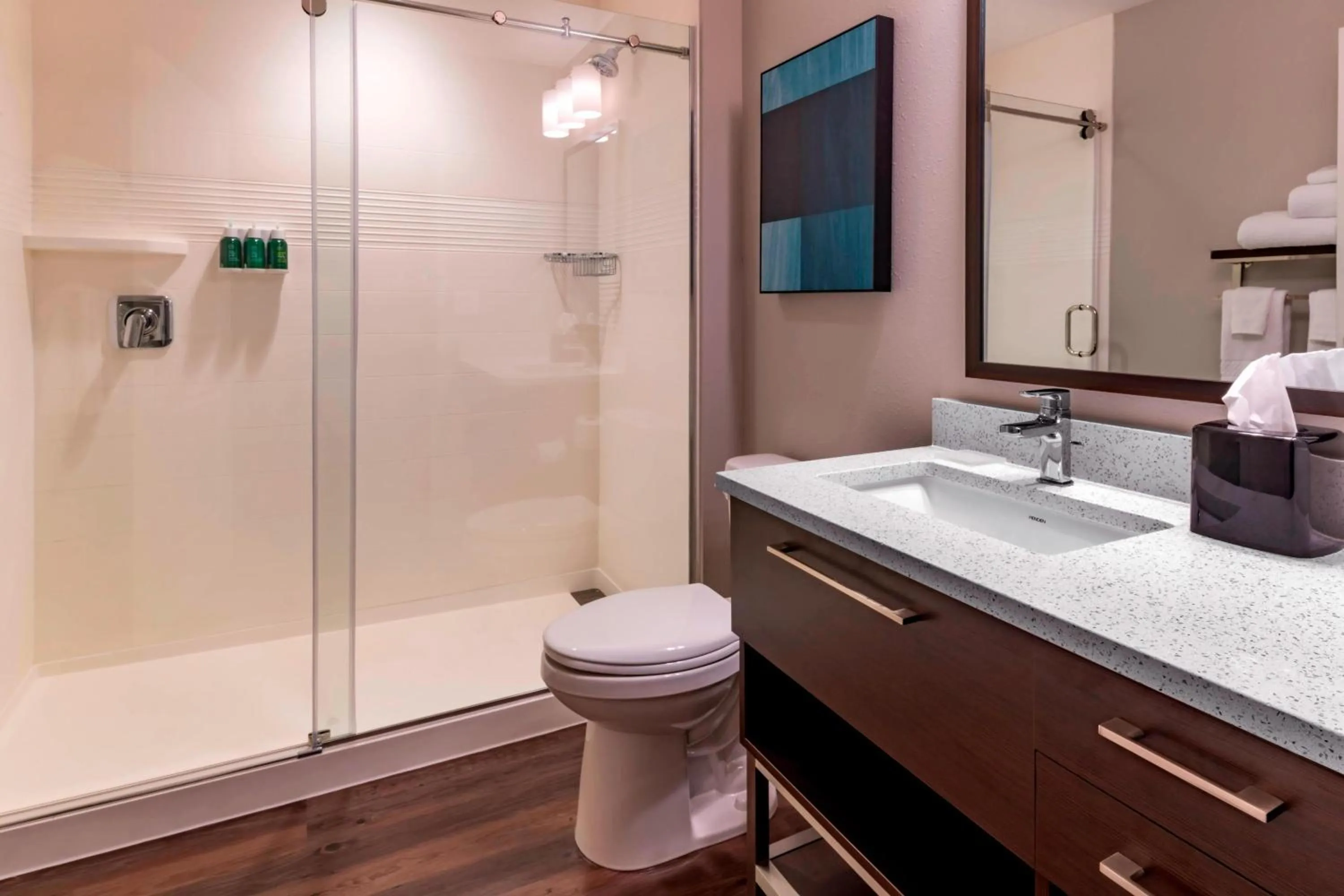 Bathroom in TownePlace Suites by Marriott Leavenworth