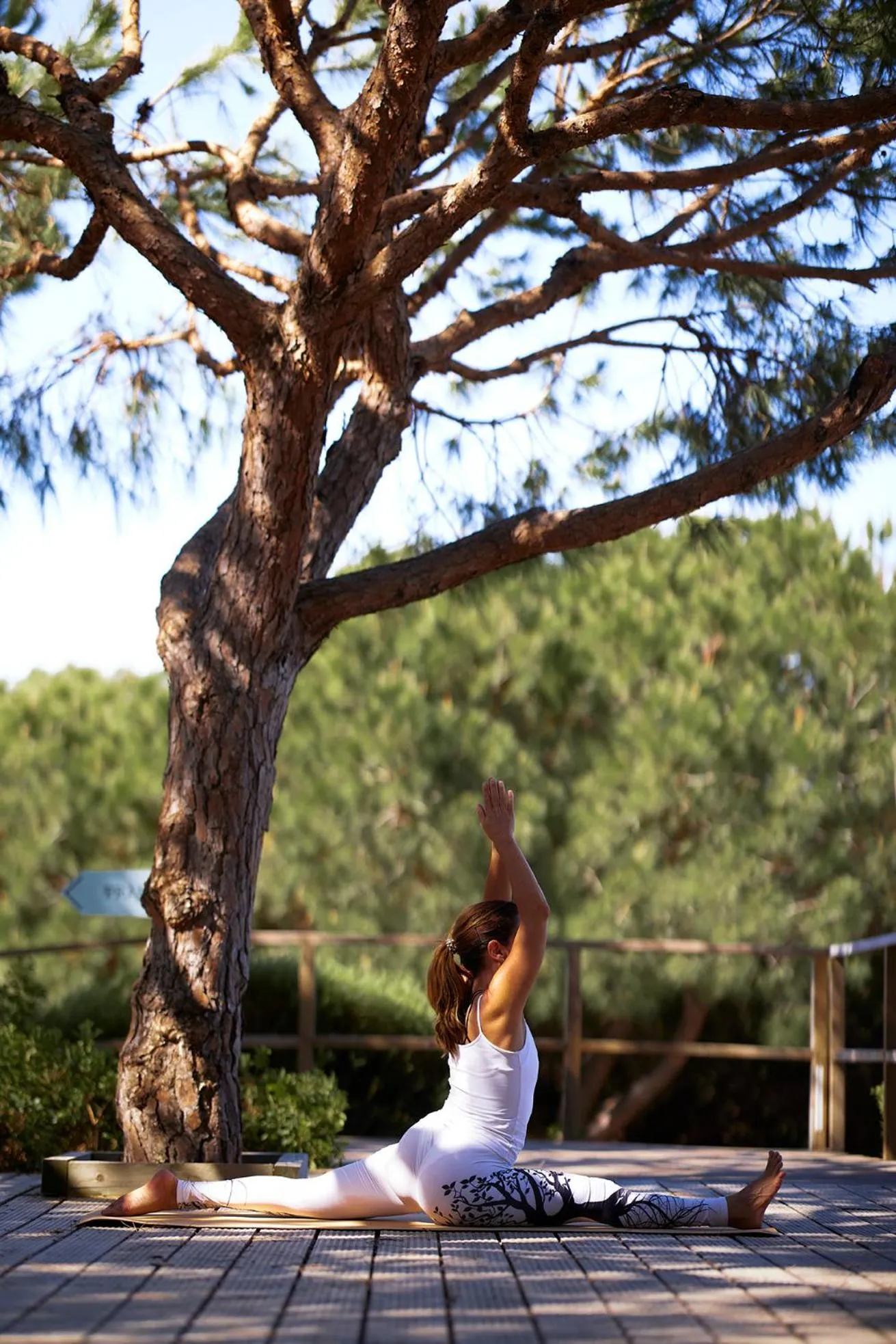 Fitness centre/facilities in Octant Praia Verde