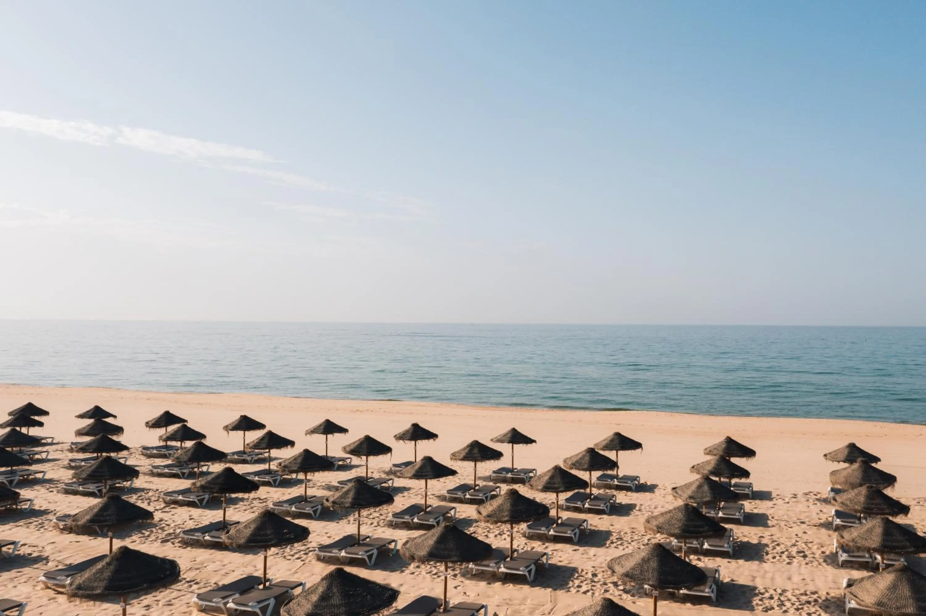 Natural landscape in Octant Praia Verde