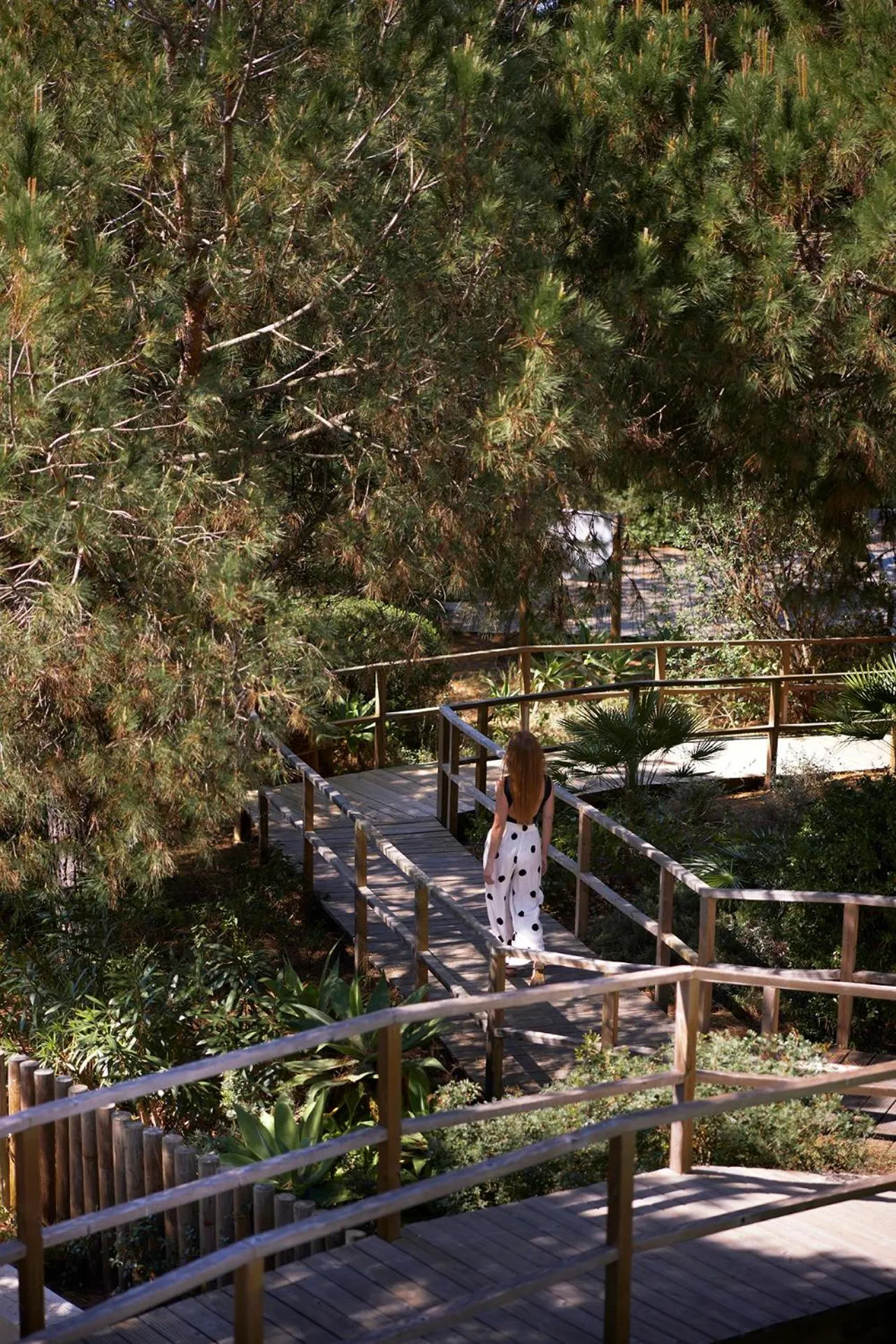 Garden in Octant Praia Verde