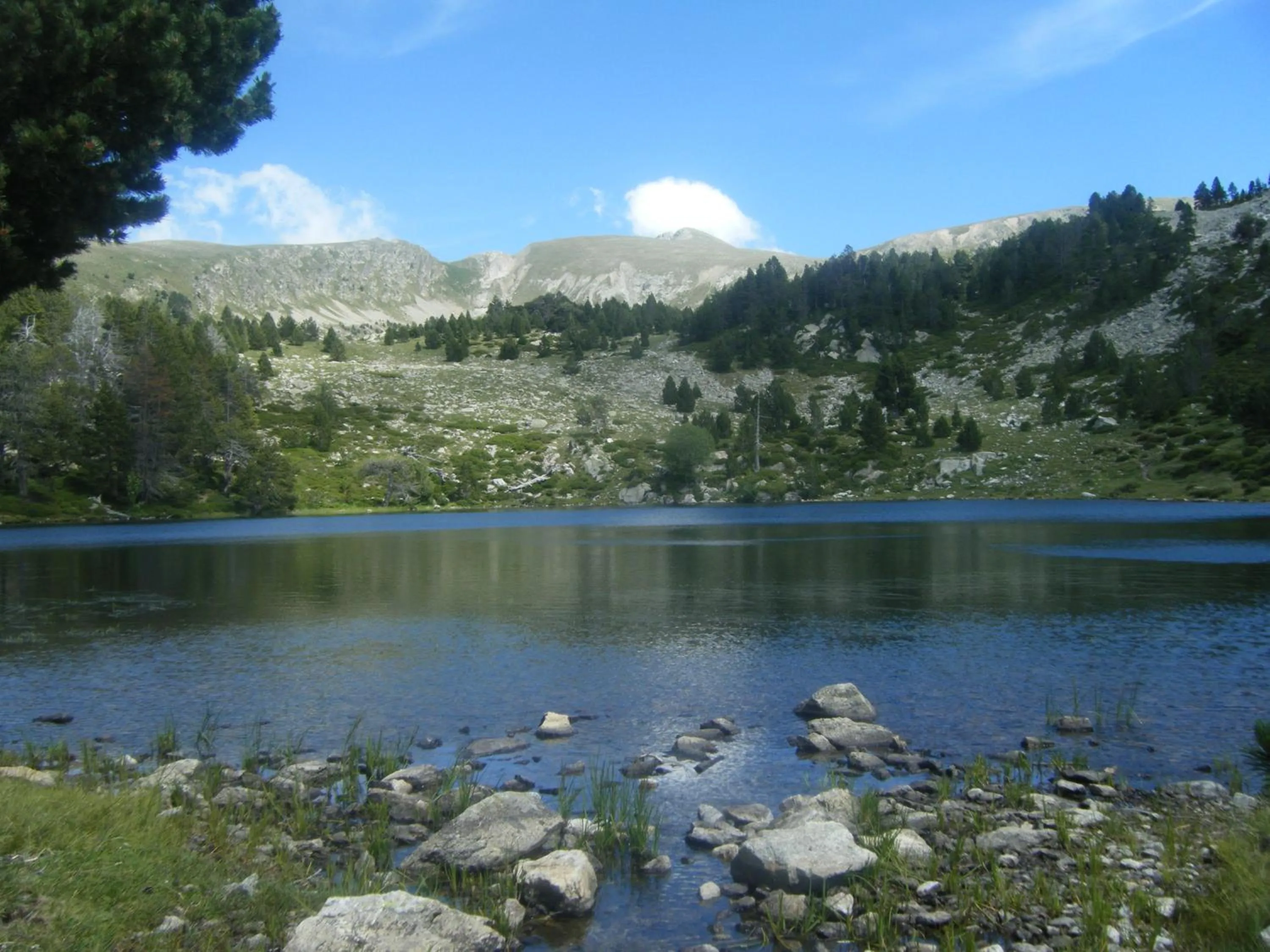 Natural landscape in Refugi Cap del Rec