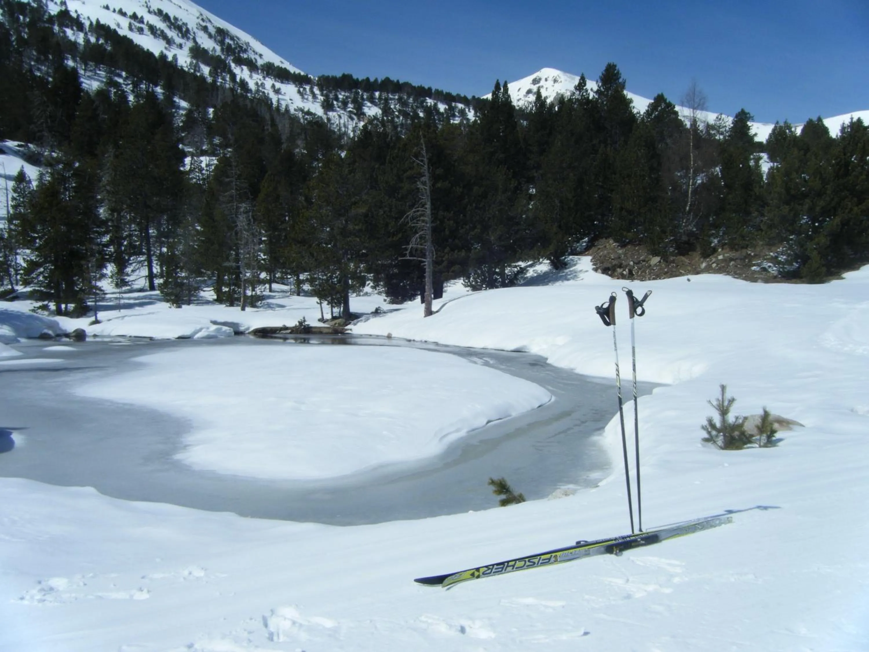Ski School in Refugi Cap del Rec