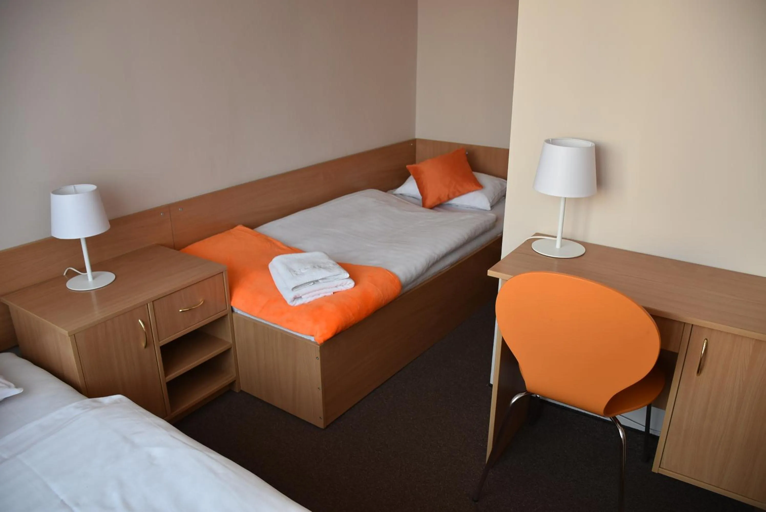 Economy Triple Room in Hotel PZMot