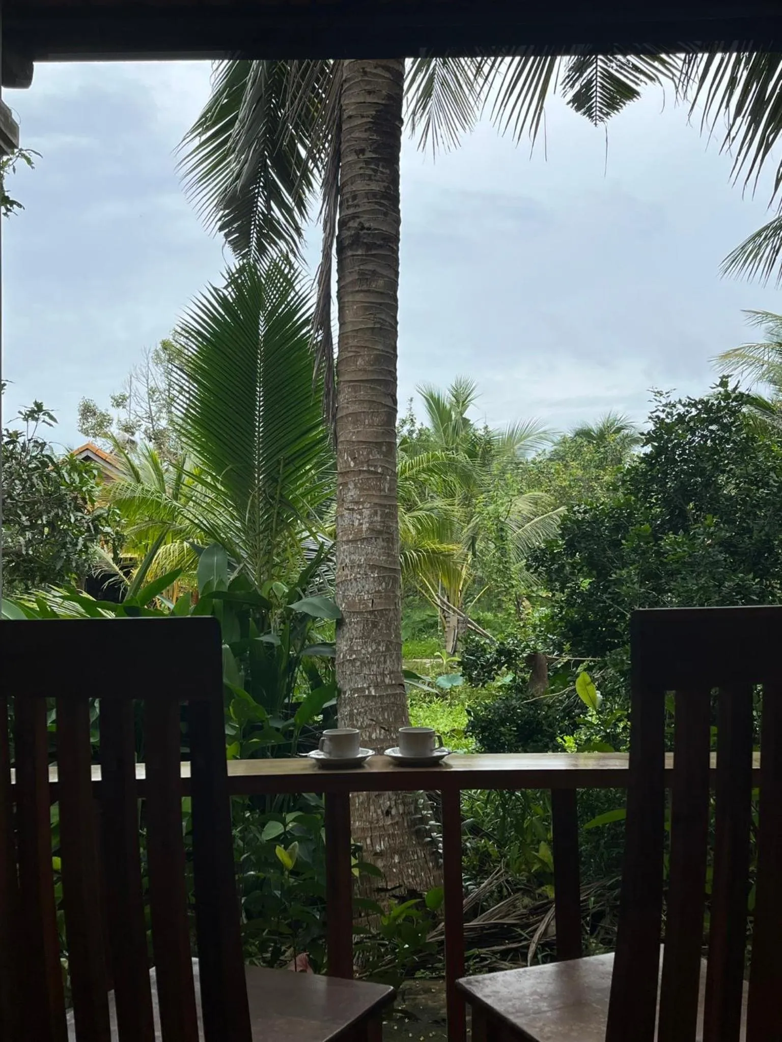 Phu Quoc Pomelo Garden