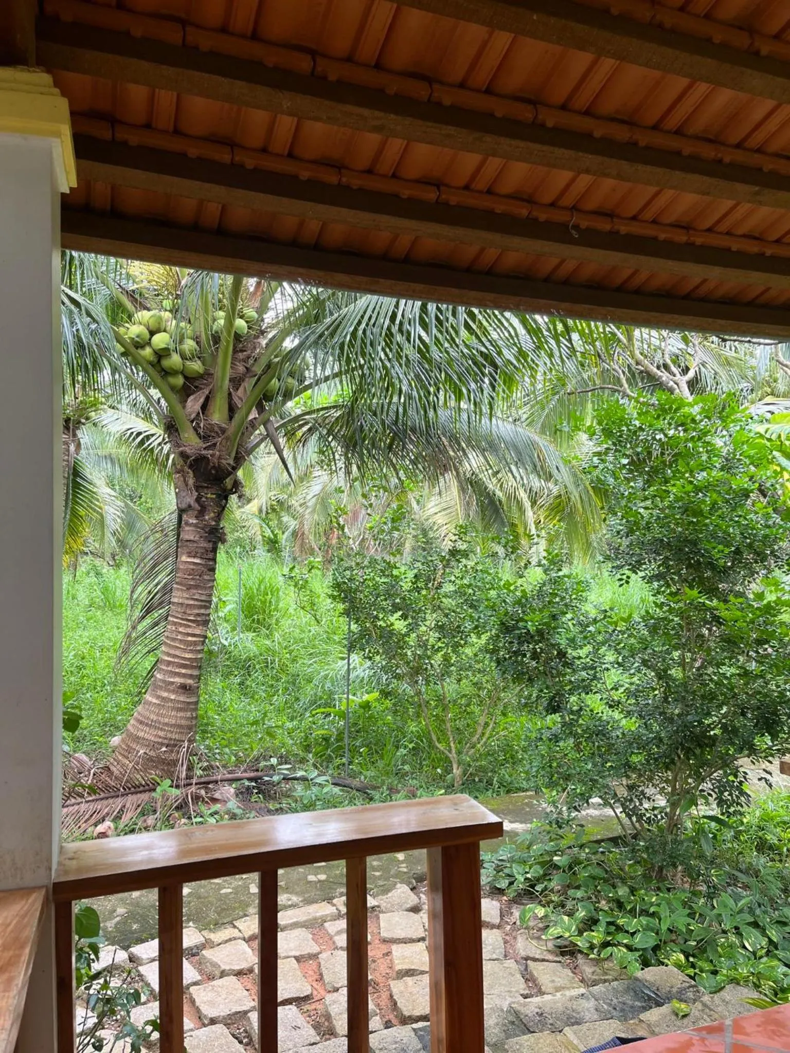 Phu Quoc Pomelo Garden