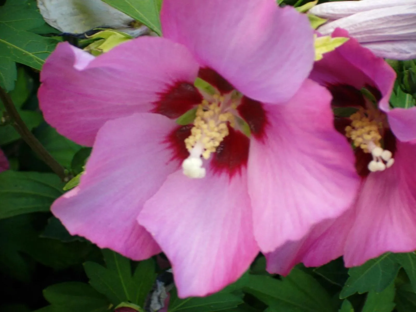Decorative detail in Logis Hôtels Troglododo