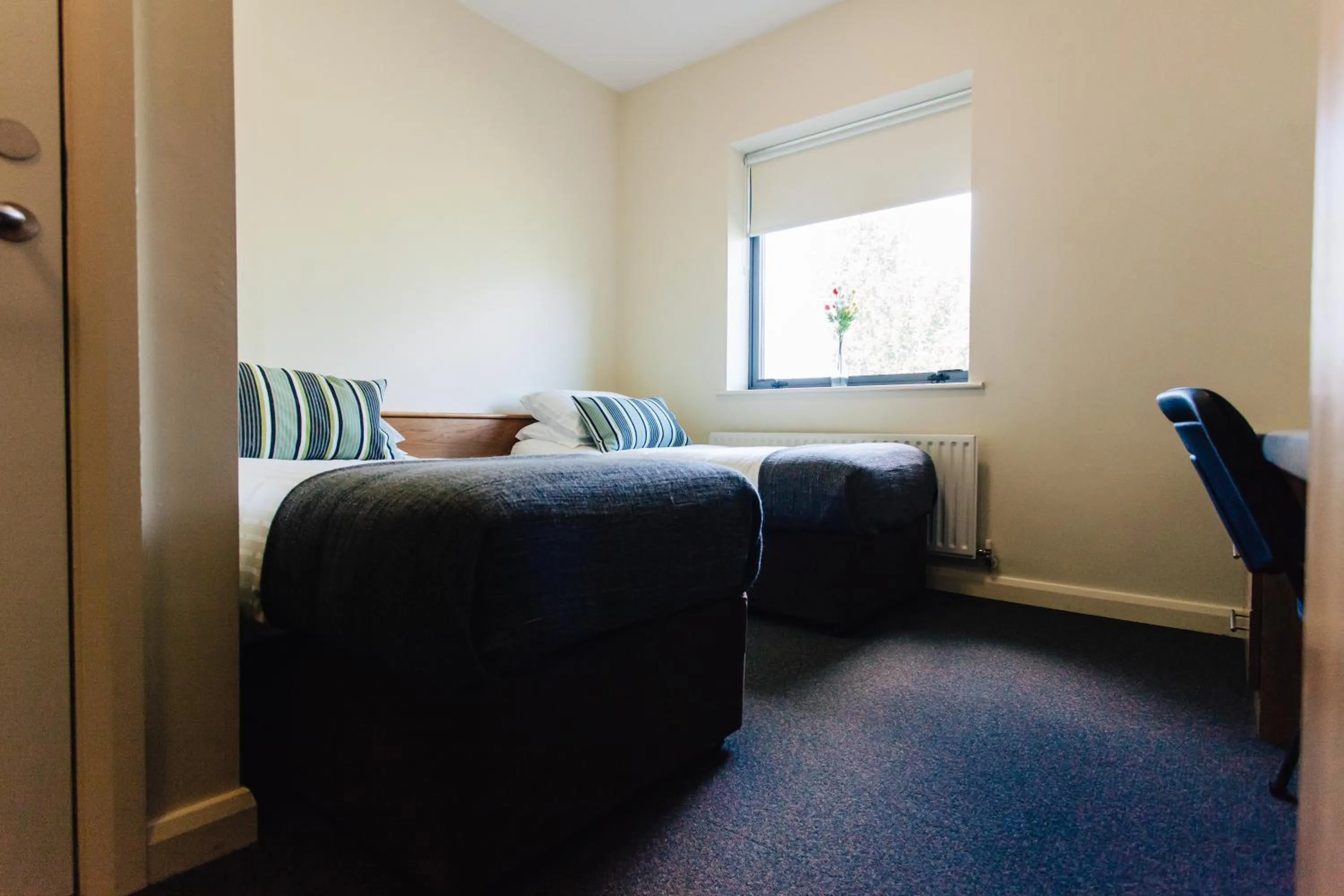 Photo of the whole room, Bed in DCU Rooms Glasnevin - Campus Accommodation