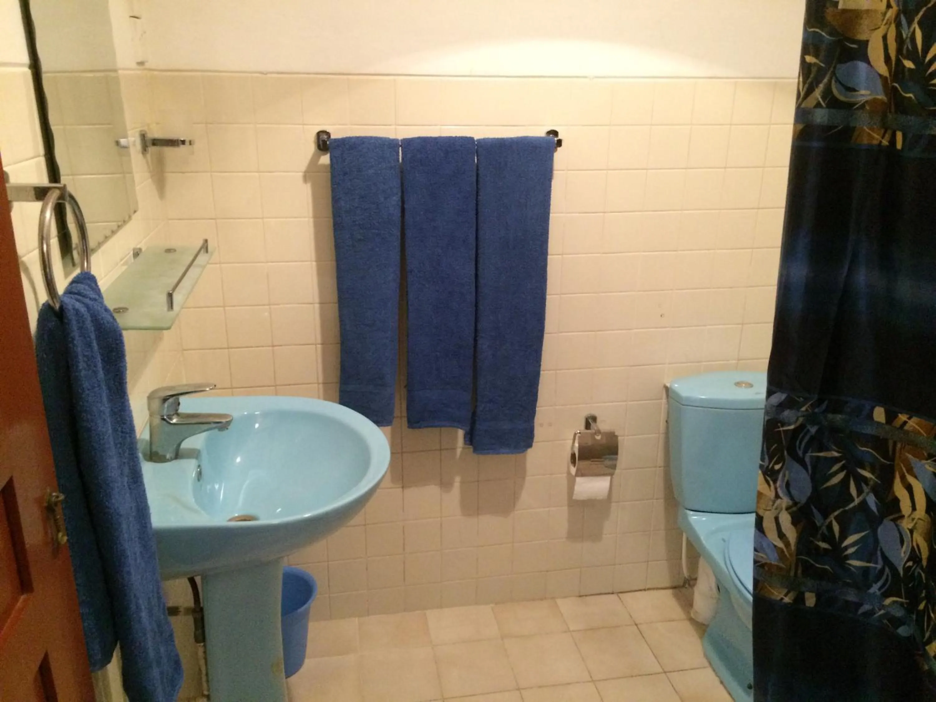 Shower in Hotel Hemadan