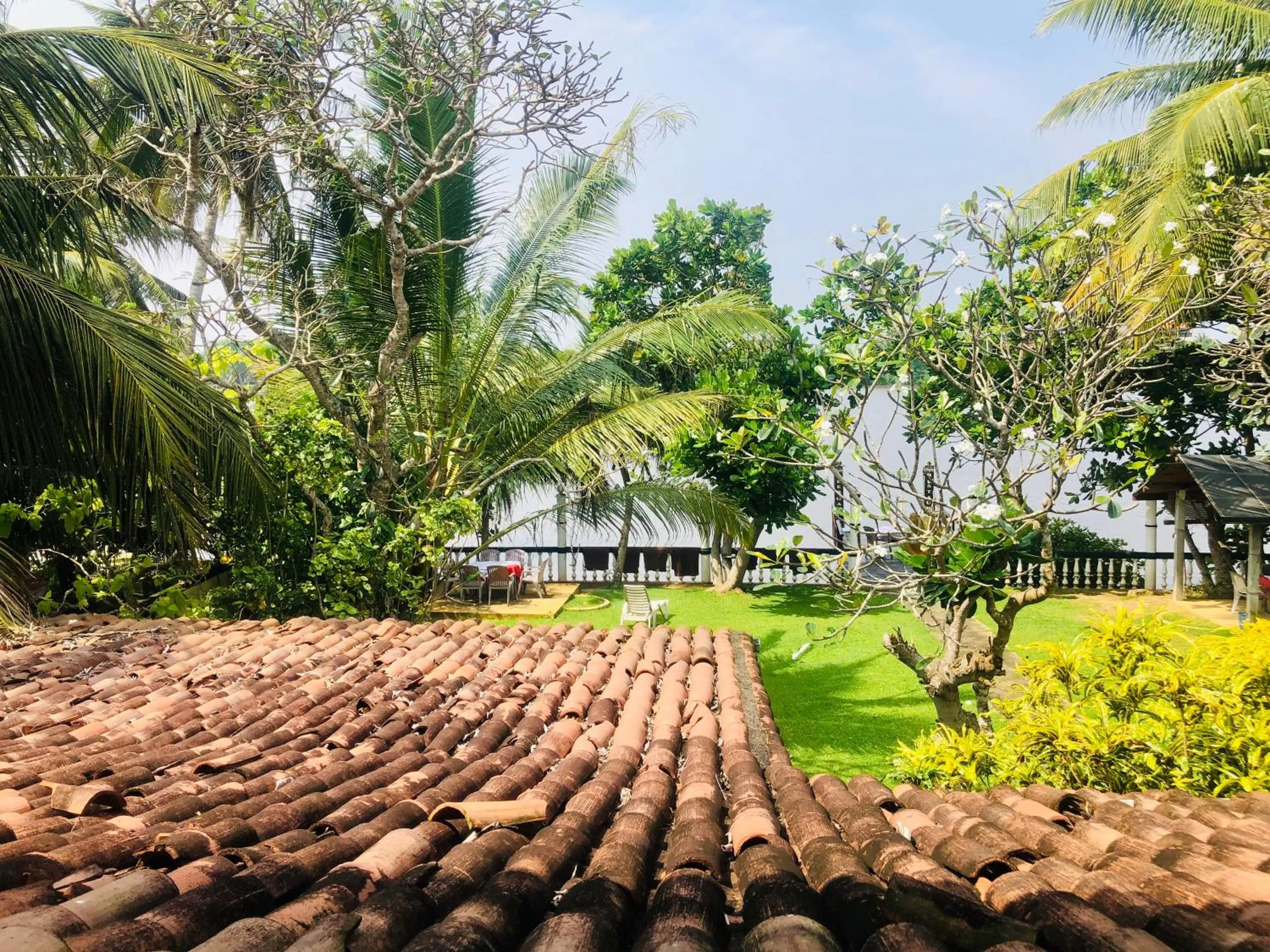 View (from property/room) in Hotel Hemadan