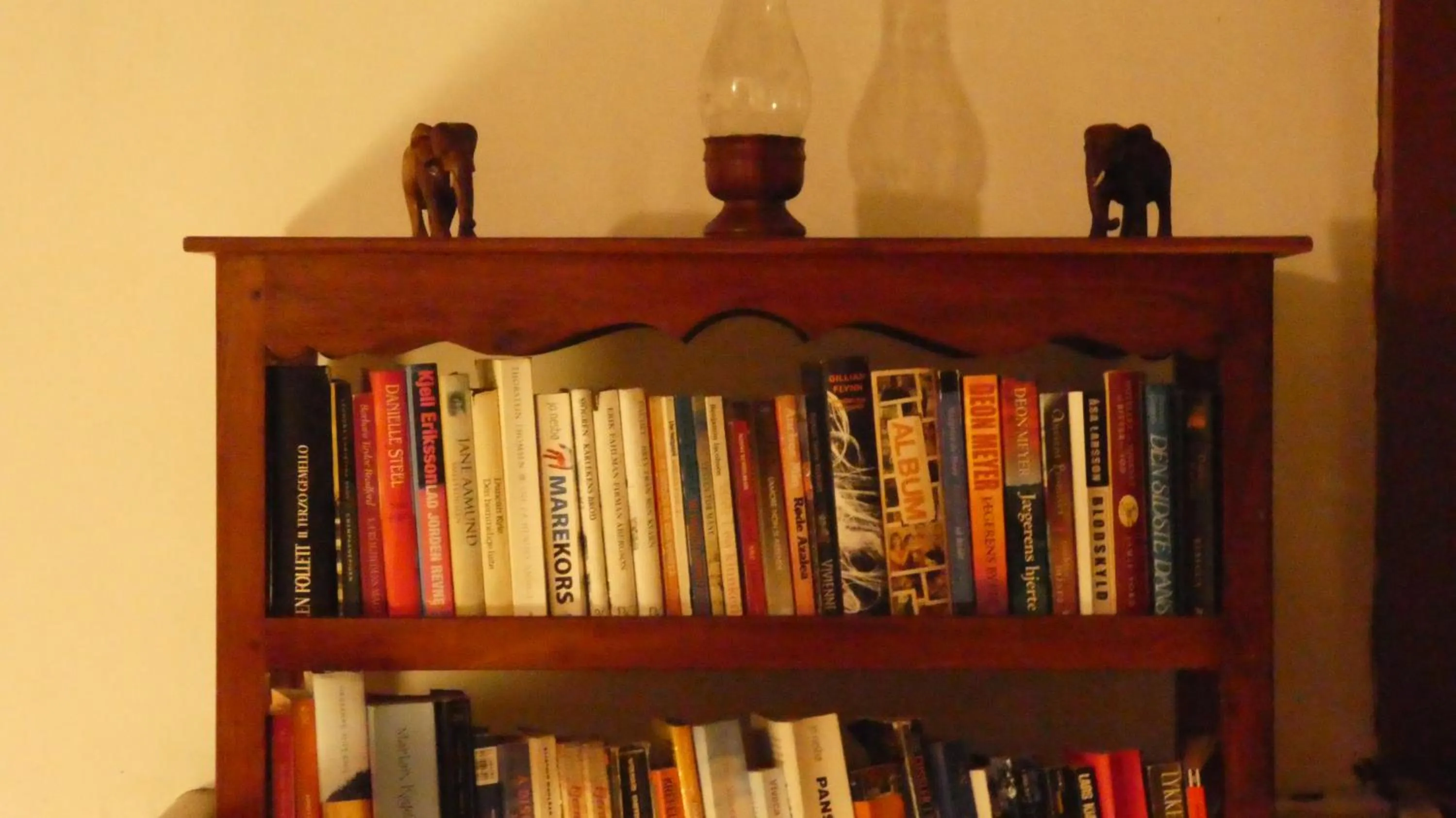 Library in Hotel Hemadan