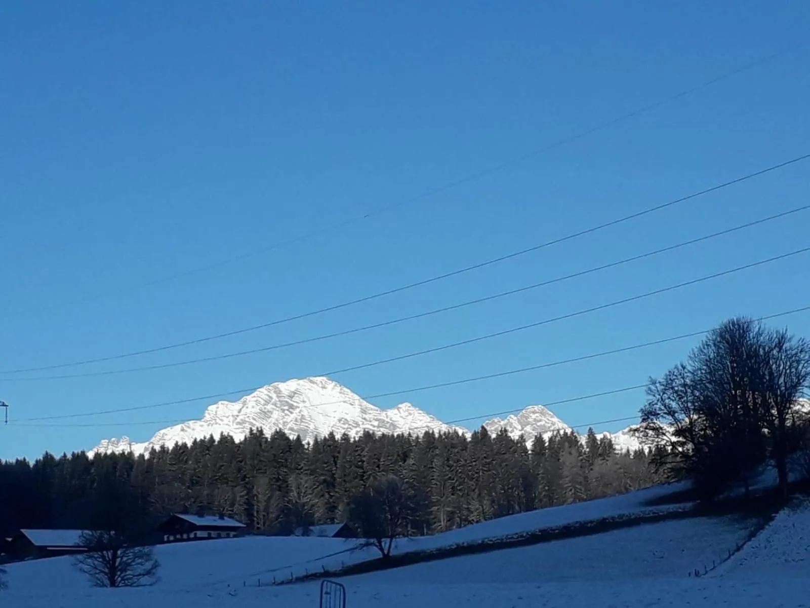 Natural landscape in Appartment Eggerhof