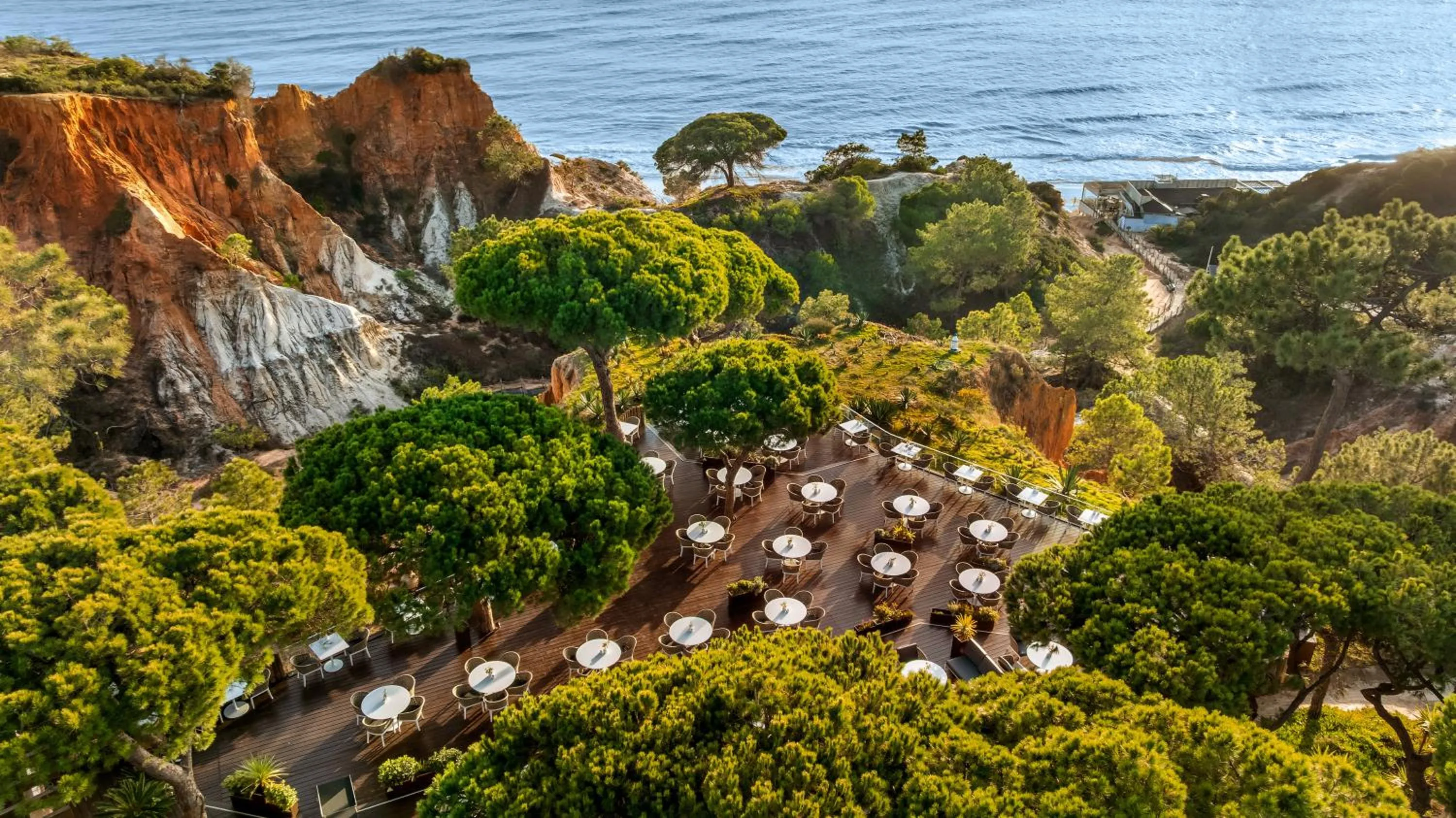 Lounge or bar in Pine Cliffs Village