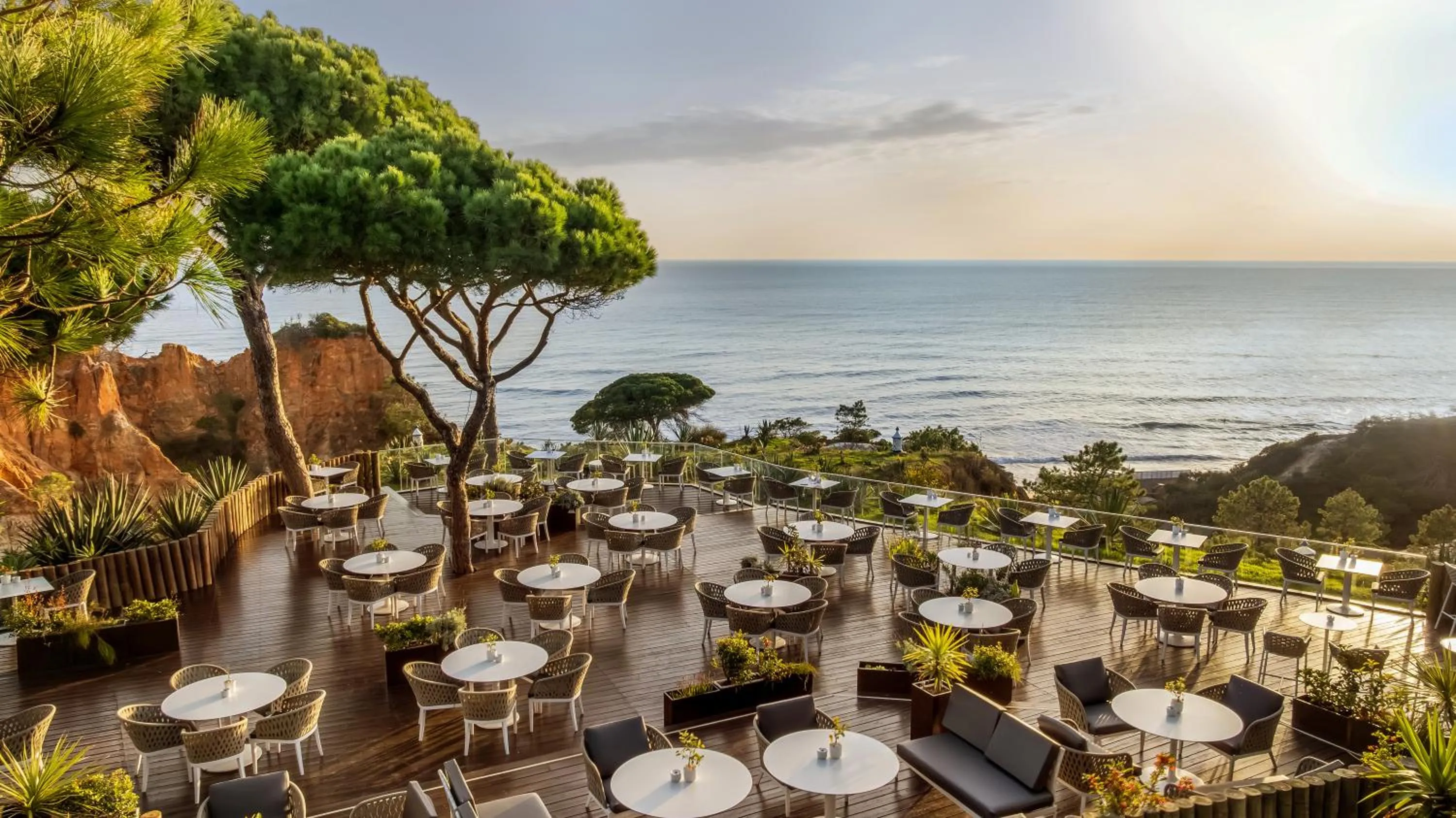 Lounge or bar in Pine Cliffs Village