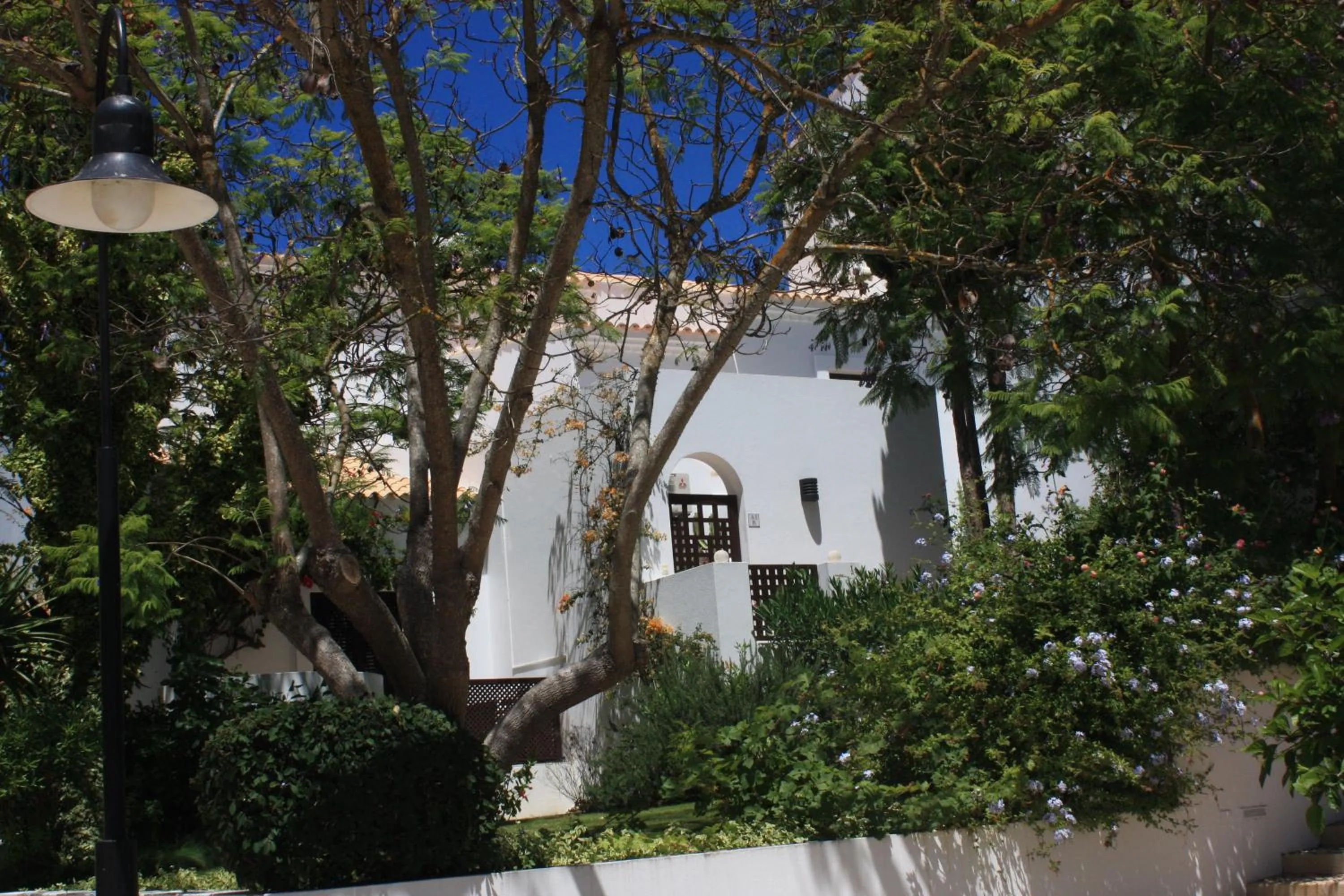 One-Bedroom Apartment in Pine Cliffs Village