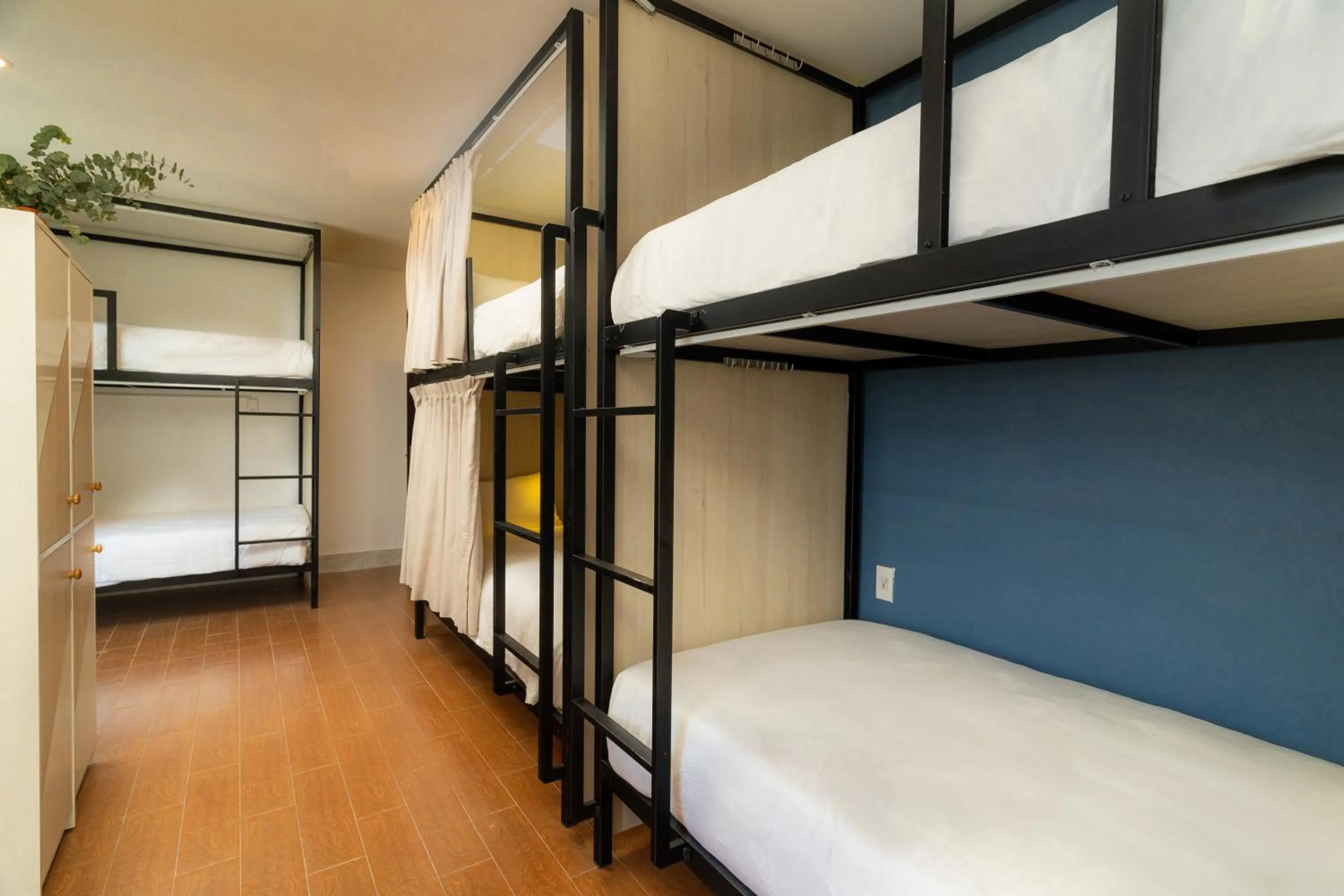 Bed in The Cuckoo's Nest Hostel and Bar managed by Hoianese