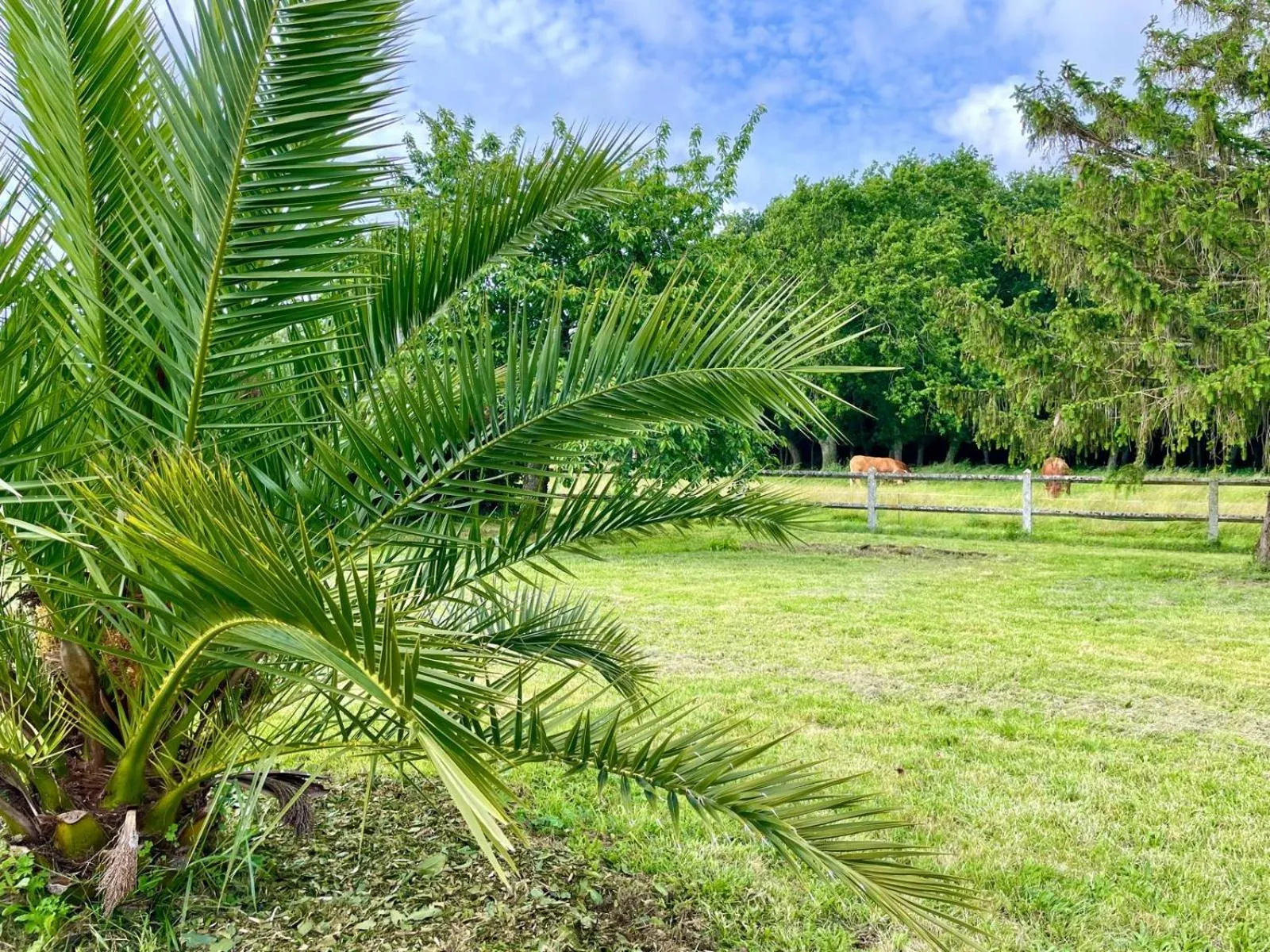 Garden in Domaine du Galon d'Or