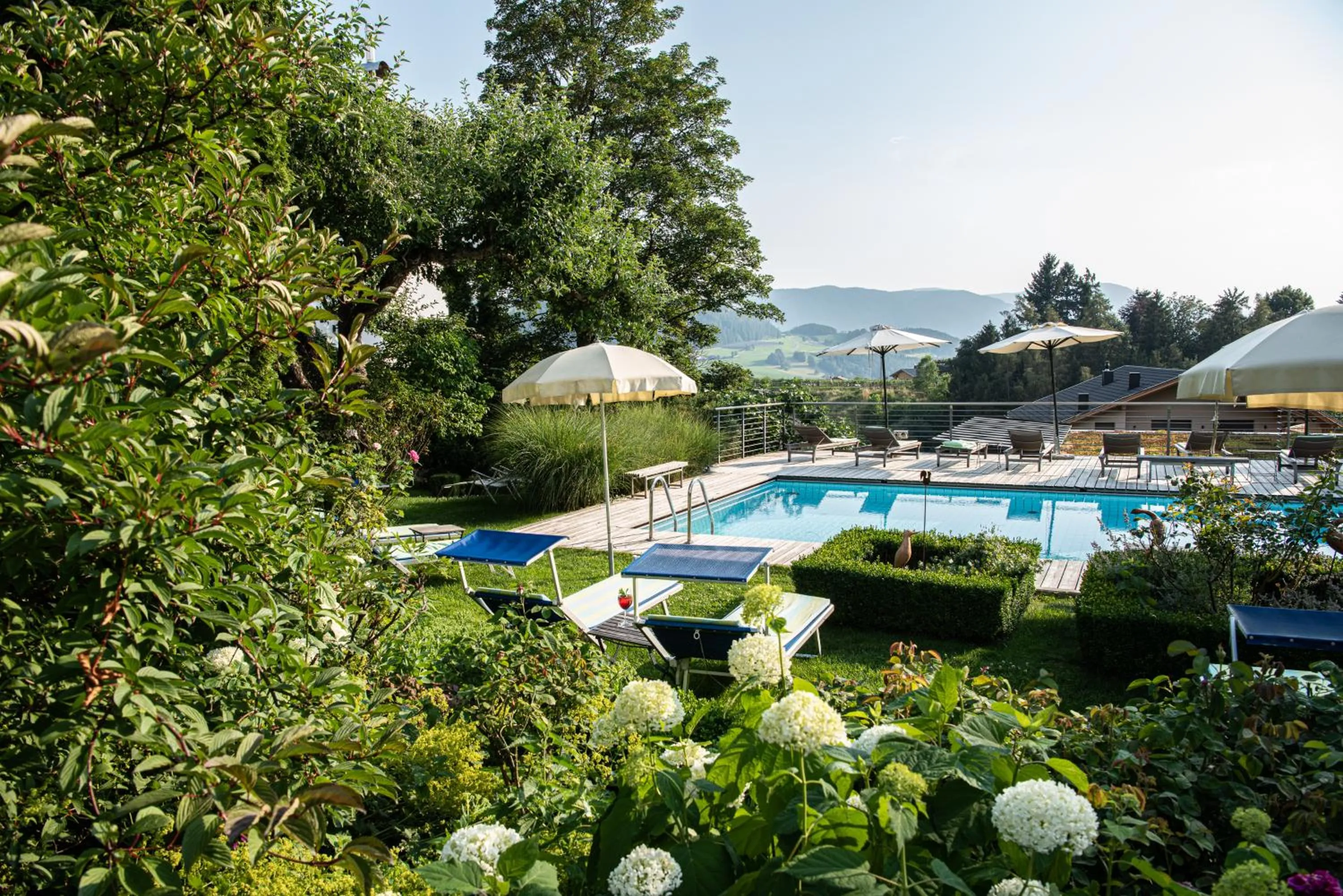 Swimming pool in Hotel Heubad