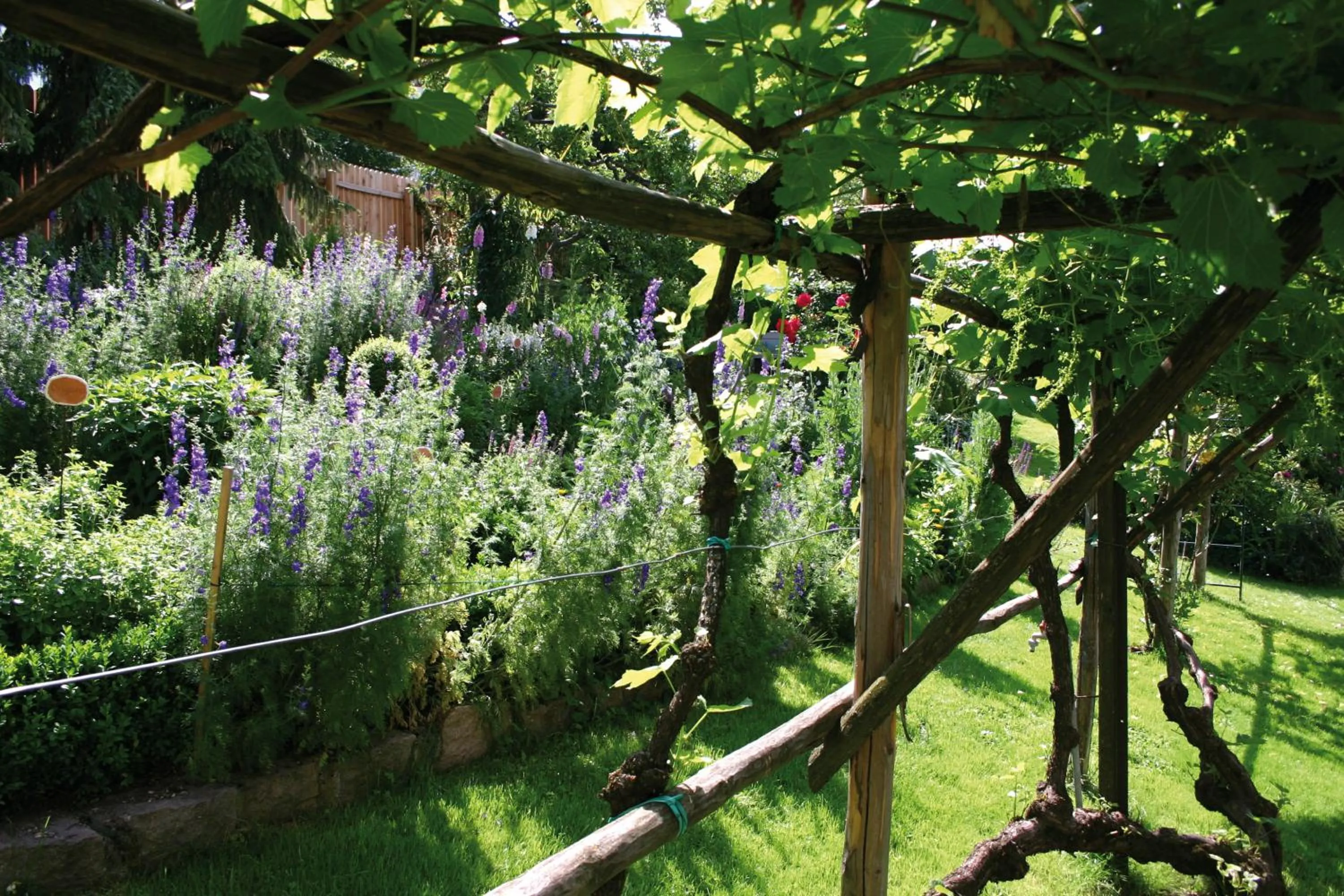 Garden in Hotel Heubad