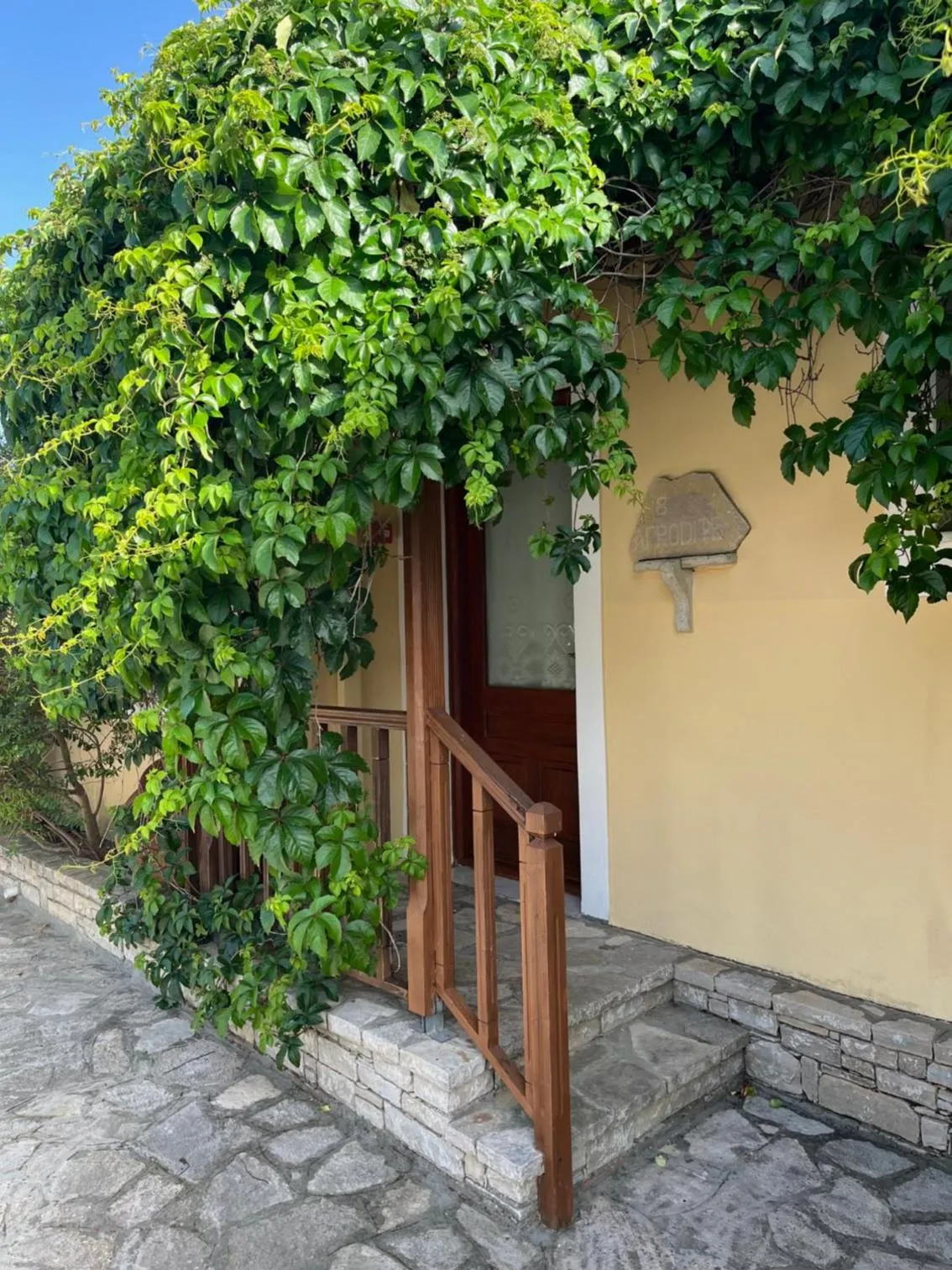 Pantheon Apartments & Studios