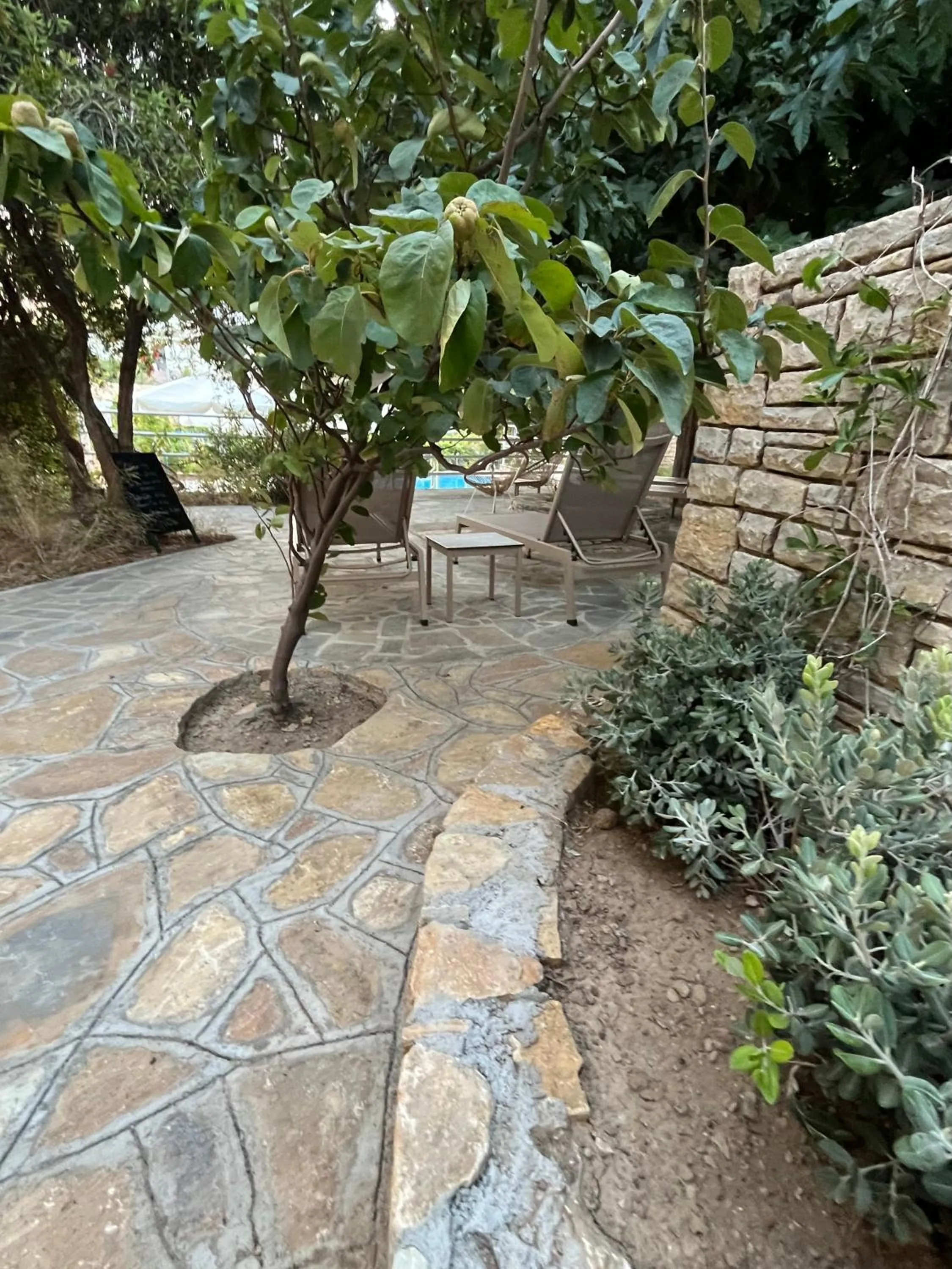 Garden in Pantheon Apartments & Studios