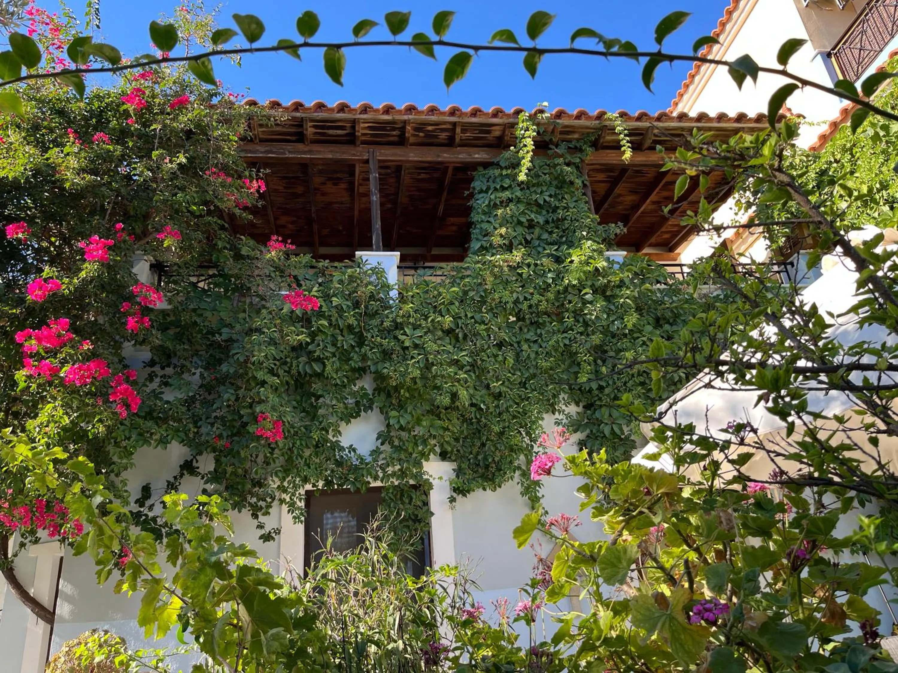 Balcony/Terrace in Pantheon Apartments & Studios