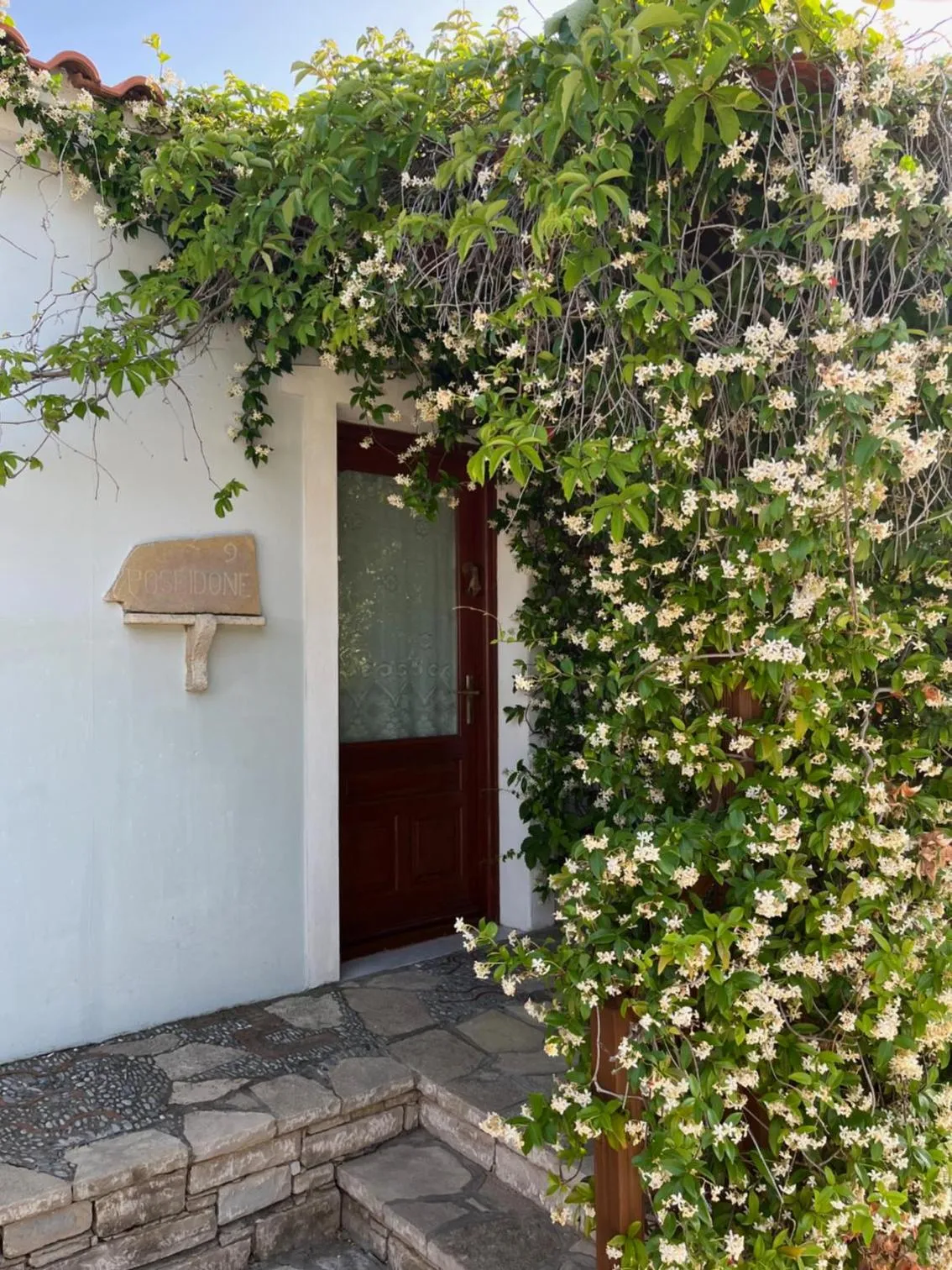 Pantheon Apartments & Studios